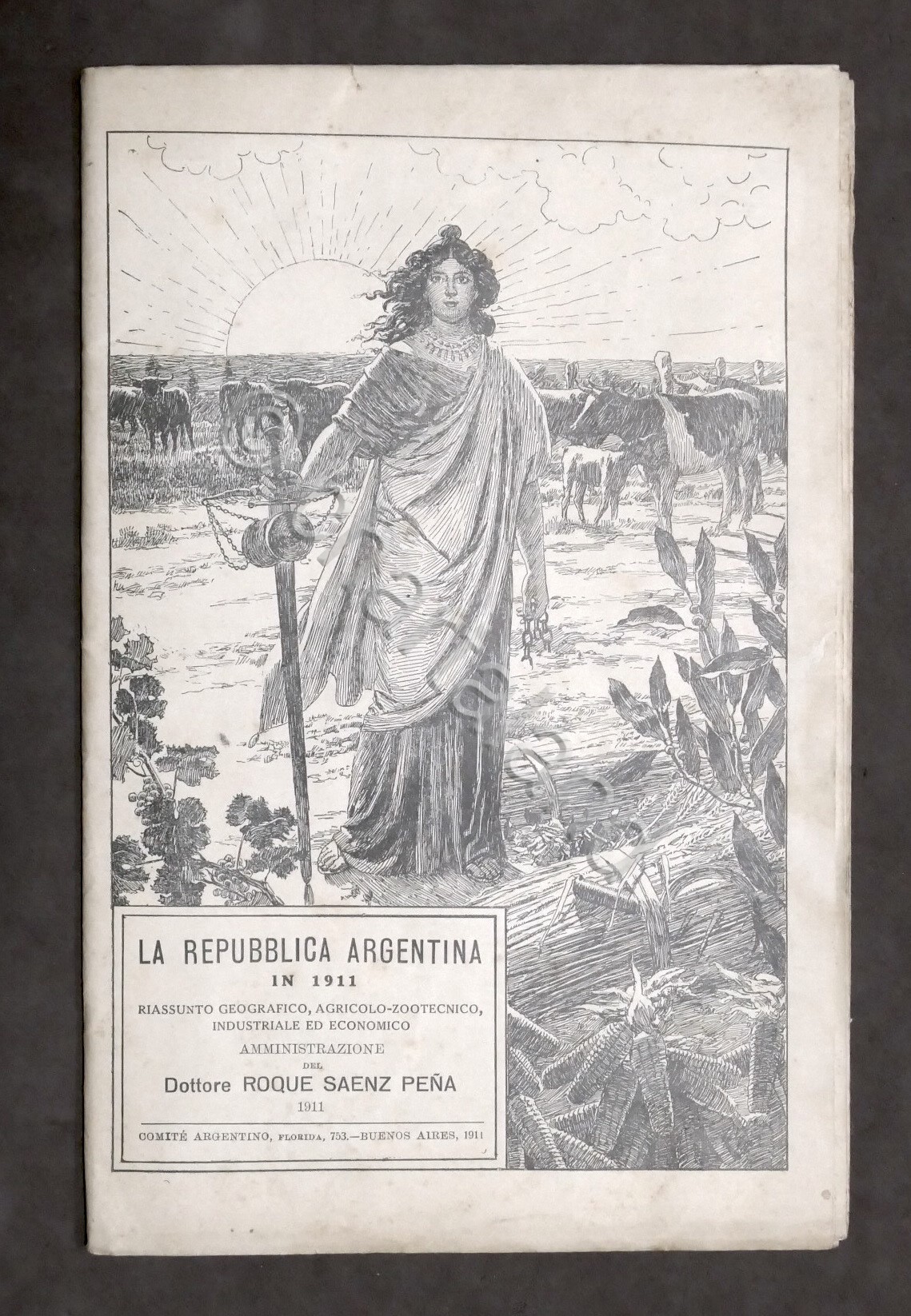 La Repubblica Argentina in 1911 - Informazioni e Carta Geografica