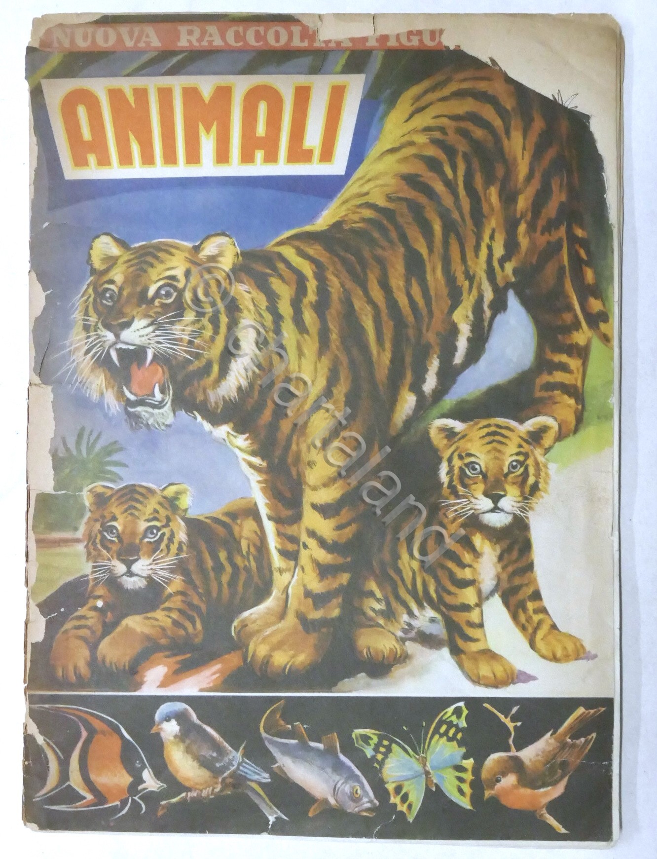 Lampo - Album nuova raccolta figurine Animali - Da recupero …