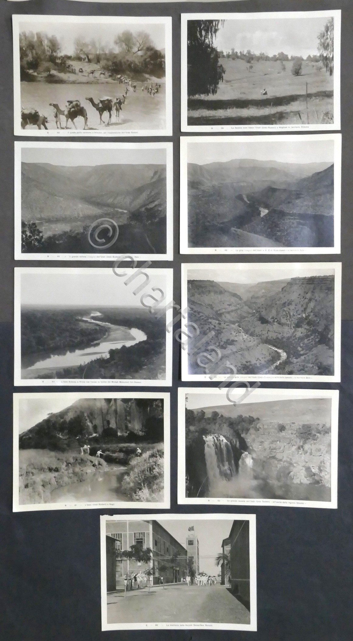 Lotto 9 fotografie Colonialismo Italiano - Territori Fiume Uebi Scebeli …