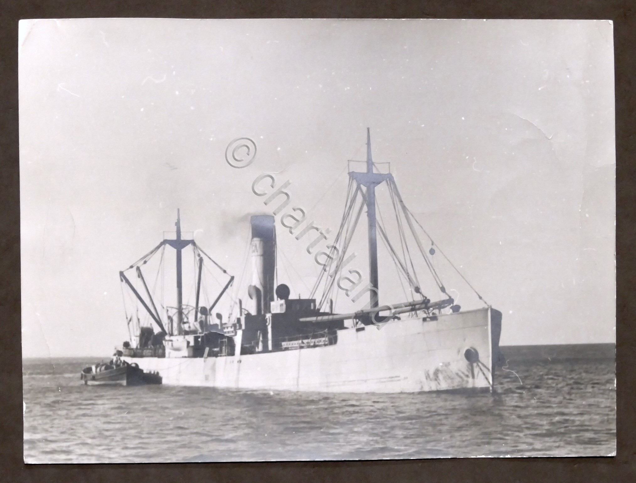 Marina Militare - Fotografia Piroscafo Tripolino - Libia - 1940 …
