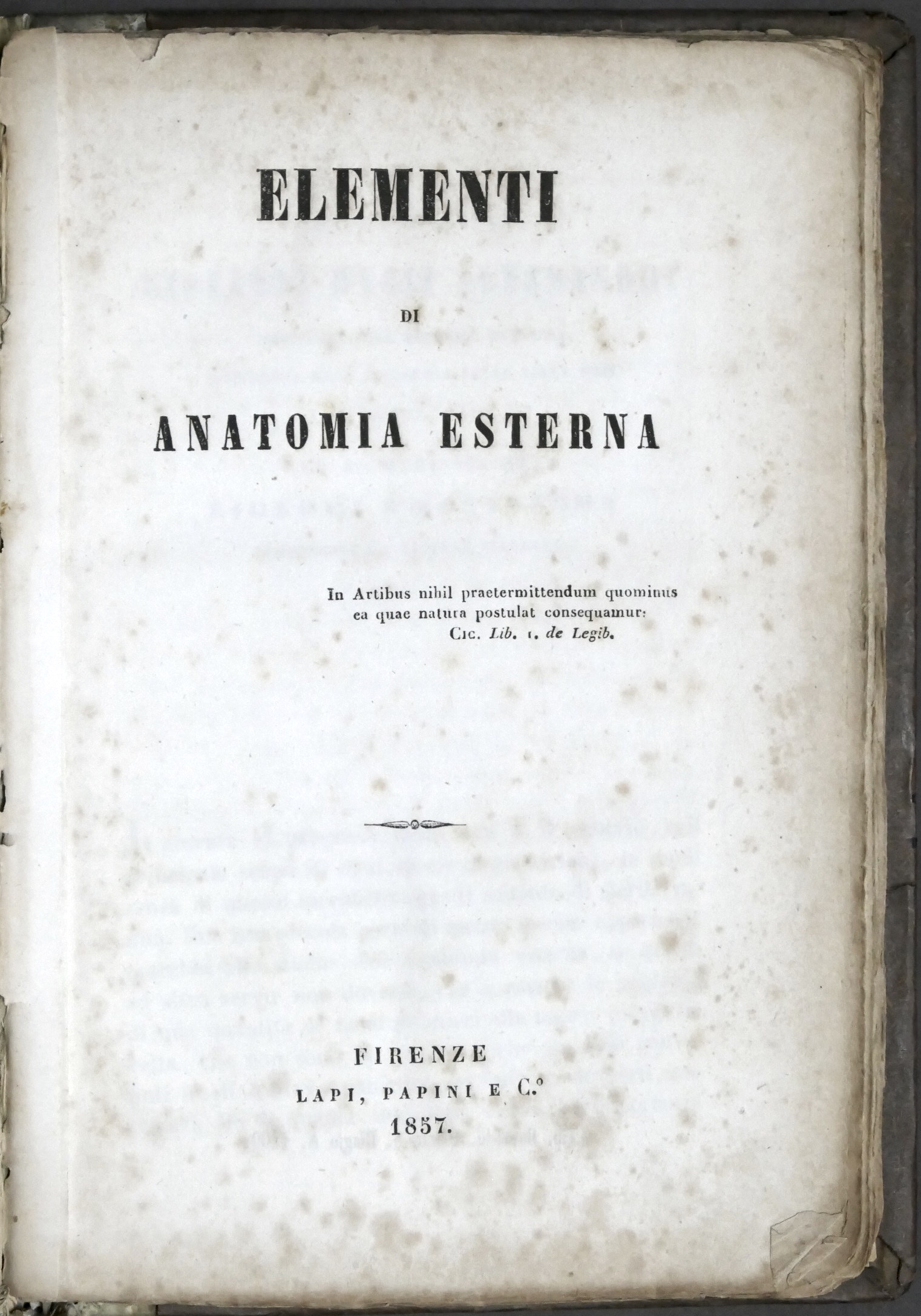 Medicina - Elementi di anatomia esterna - Ed. Lapi, Papini …