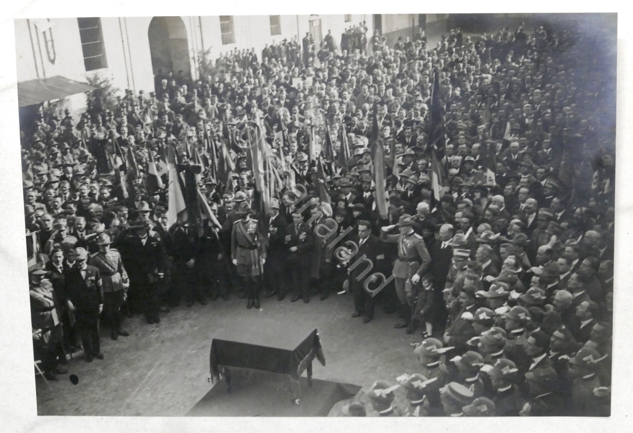 Militaria - Fotografia 21^ Adunata degli Alpini a Torino - …