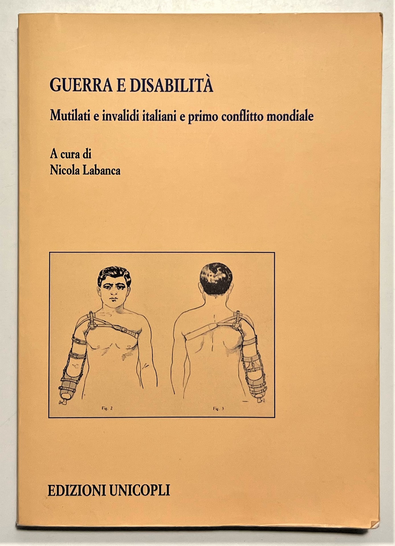 N. Labanca - Guerra e Disabilità: Mutilati e invalidi italiani …