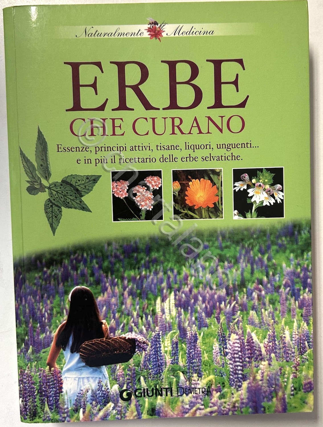 Naturalmente medicina - Erbe che curano - ed. 2004 Giungi …