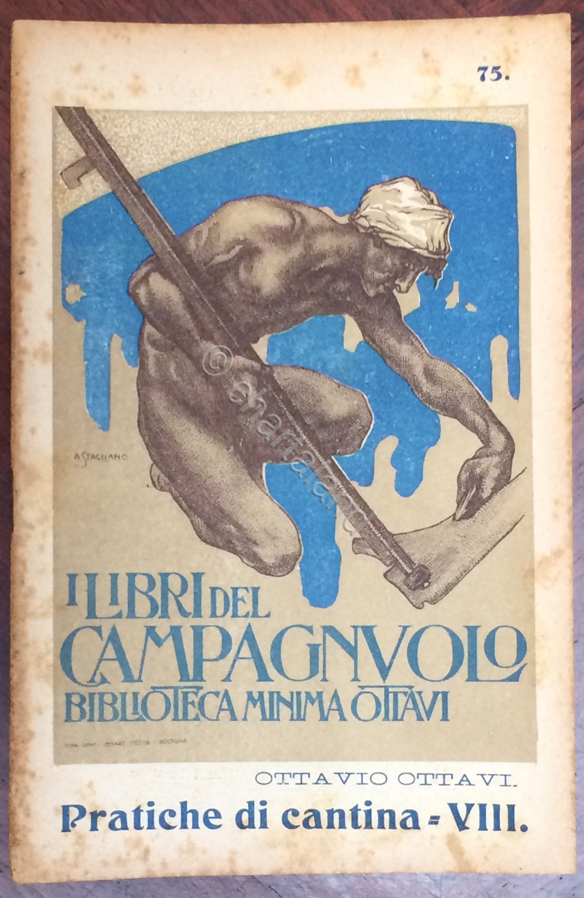 O. Ottavi - I libri del campagnolo - Pratiche di …