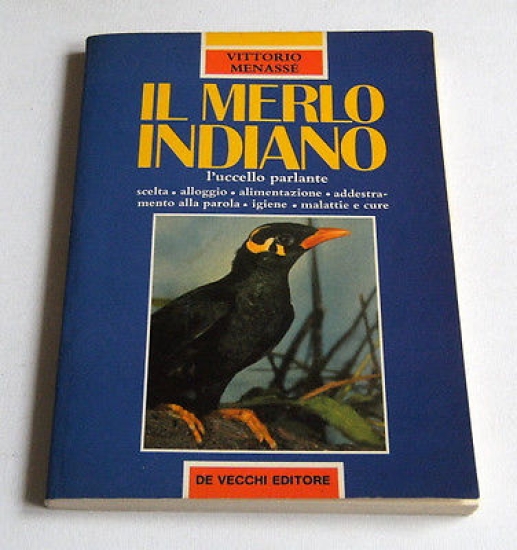 Ornitologia - V. Menassé - Il Merlo Indiano - 1^ …