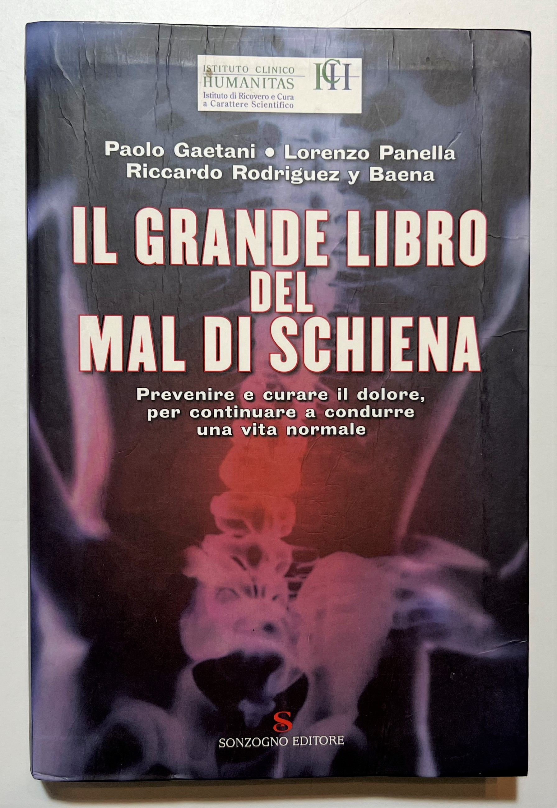 P. Gaetani, L. Panella e R. Rodriguez - Il Grande …