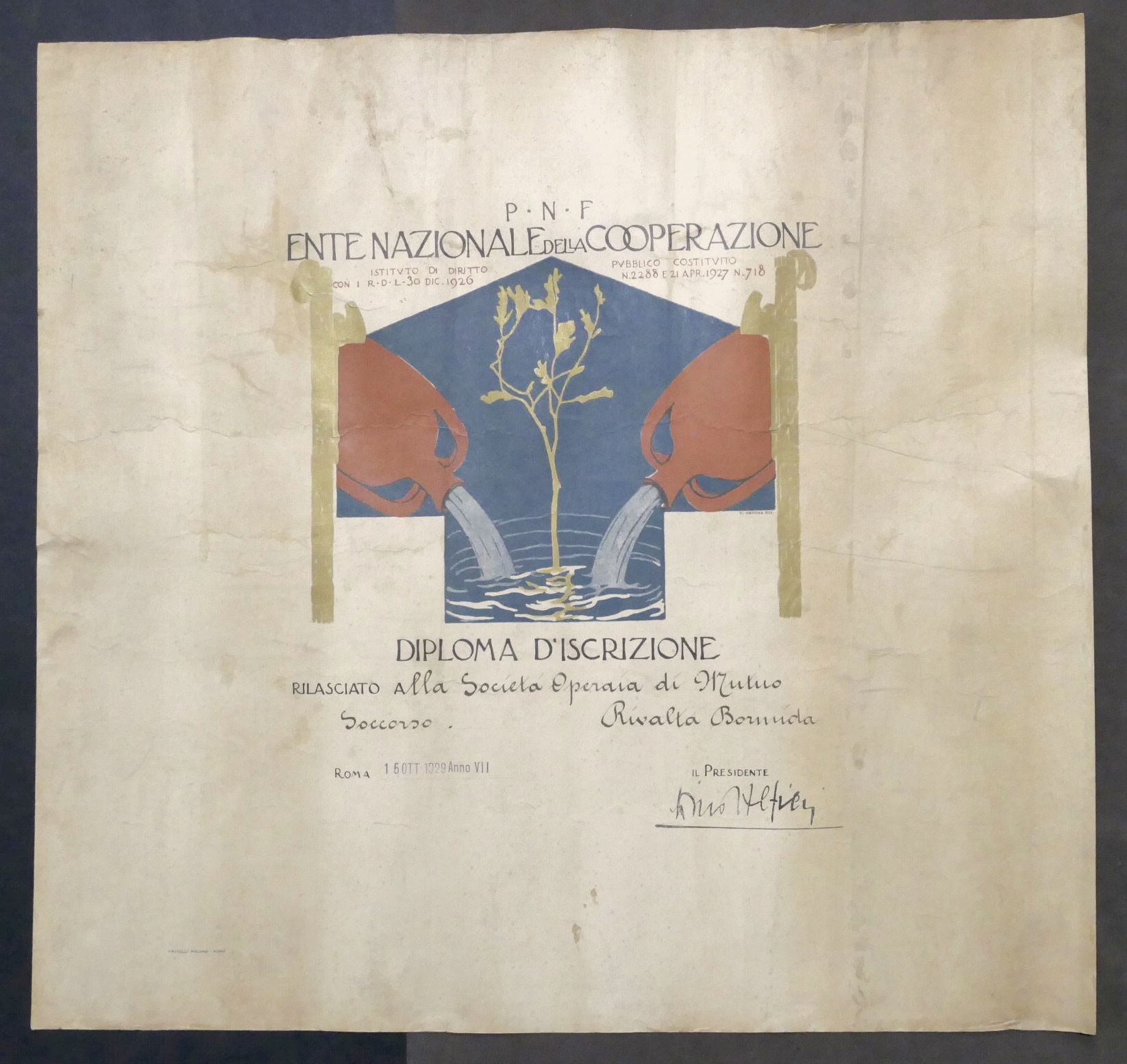 P.N.F. - Ente Nazionale di Cooperazione - Diploma d'iscrizione - …