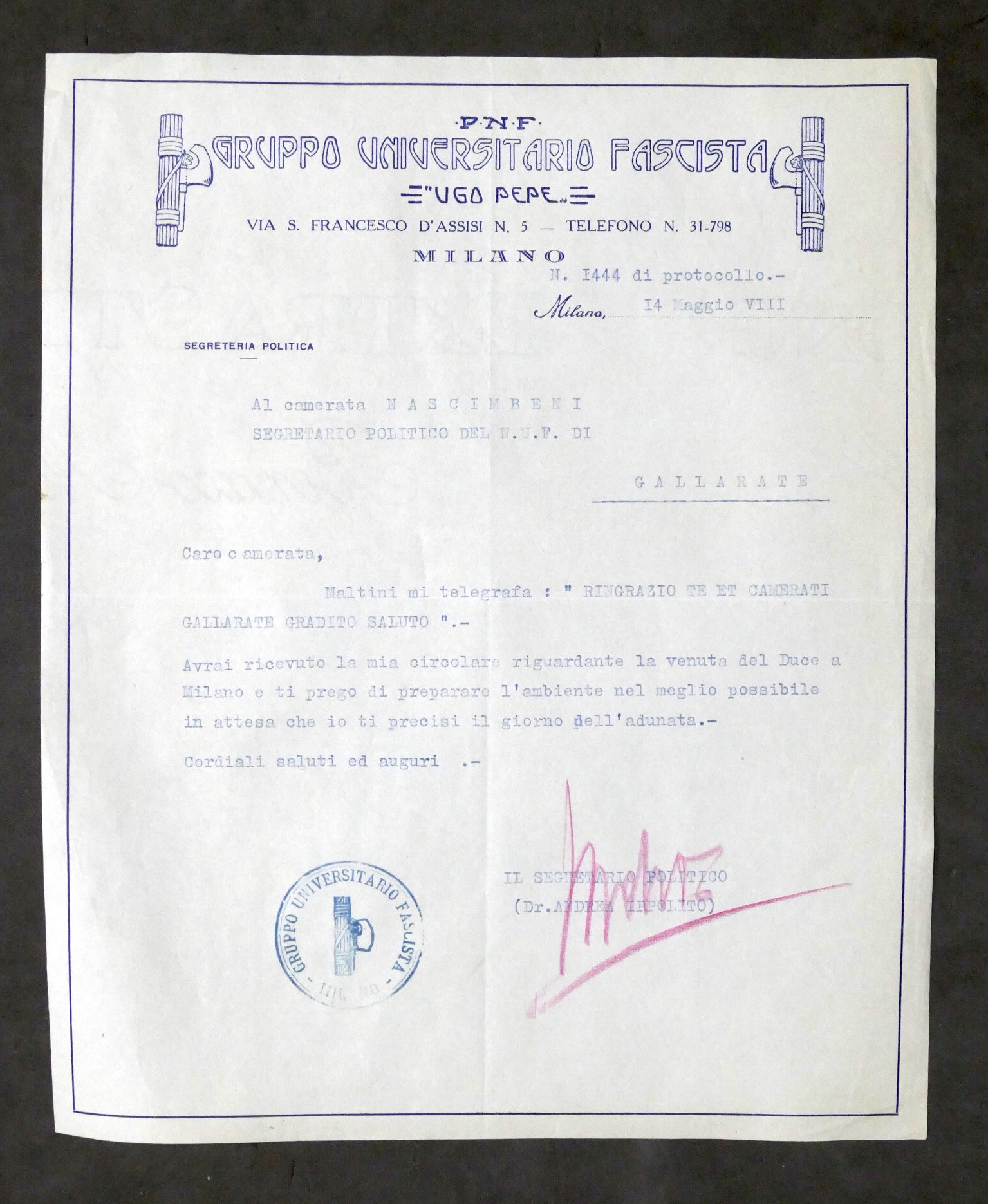 PNF Gruppo Universitario Ugo Pepe Lettera autografo segretario A. Ippolito …