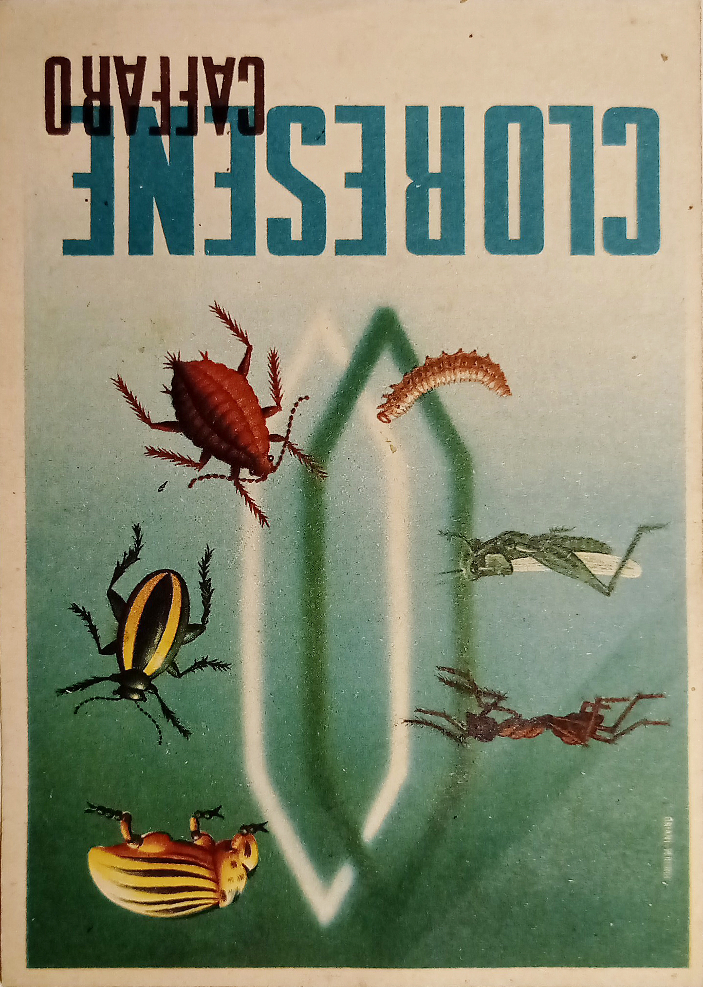 Pubblicità Brochure - Cloresene Caffaro - Anticrittogamici Insetticidi - 1946