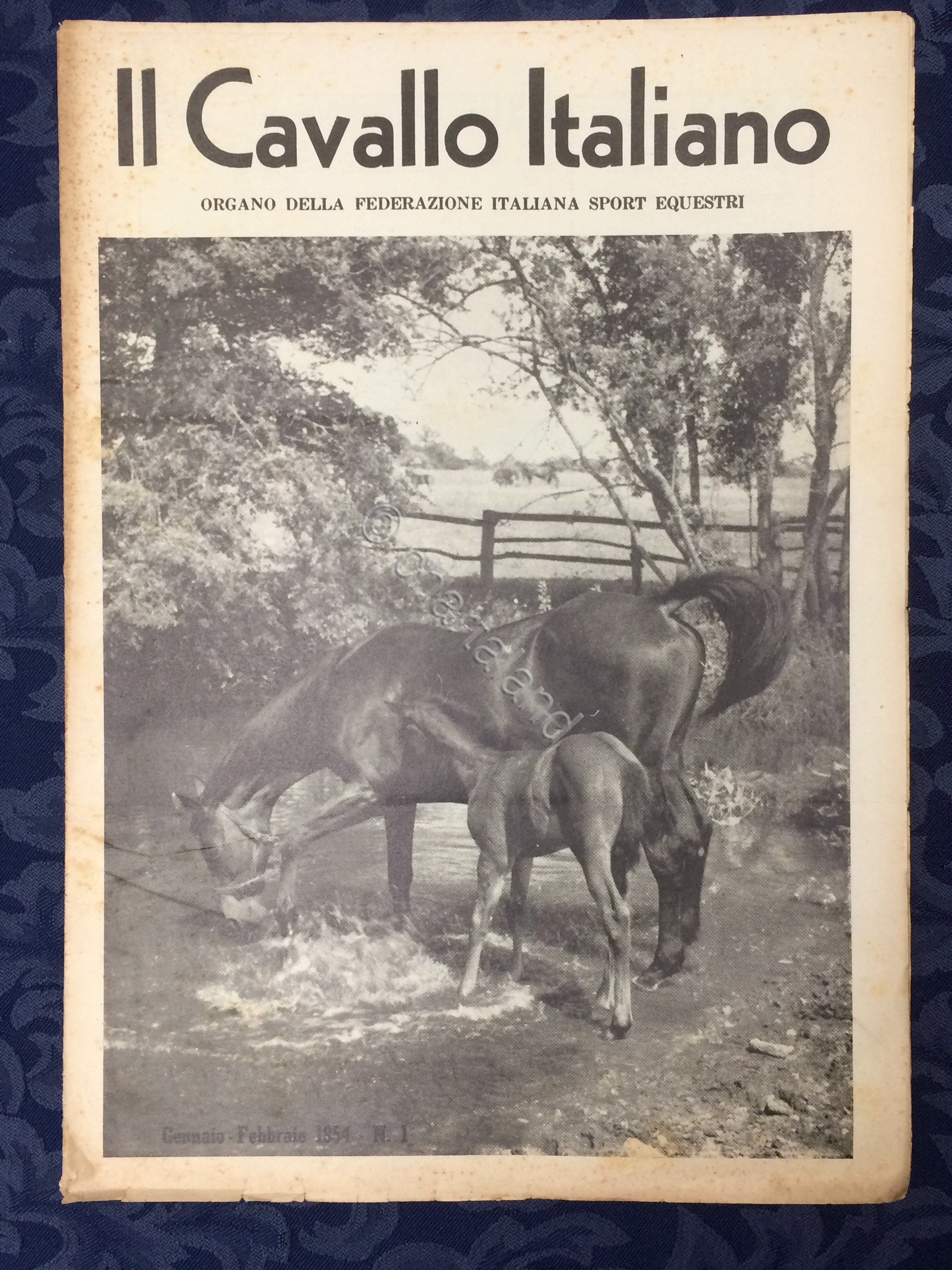 Rivista - Il Cavallo Italiano - N. 1 - Gennaio …