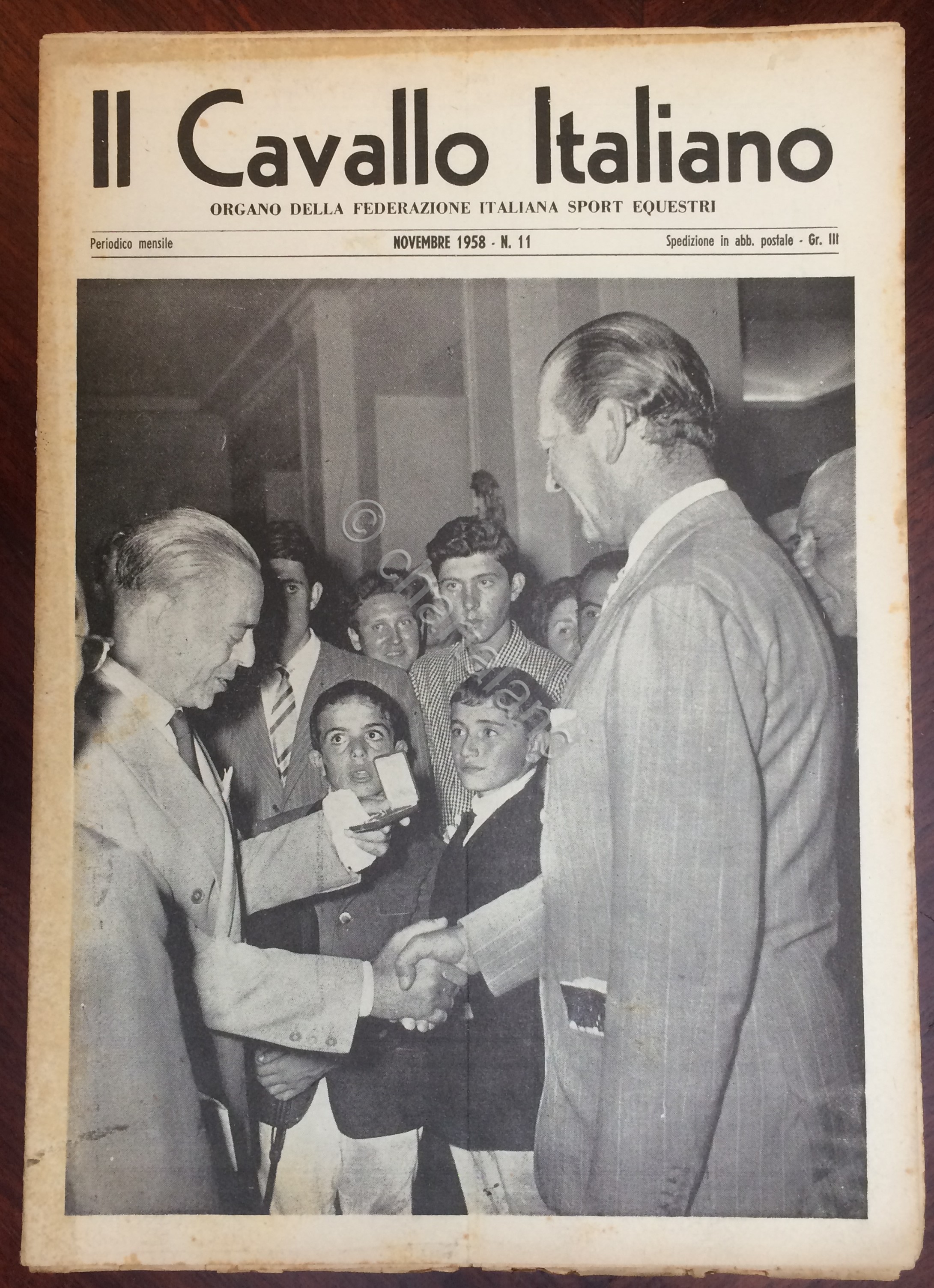 Rivista - Il Cavallo Italiano - N. 11 - Novembre …