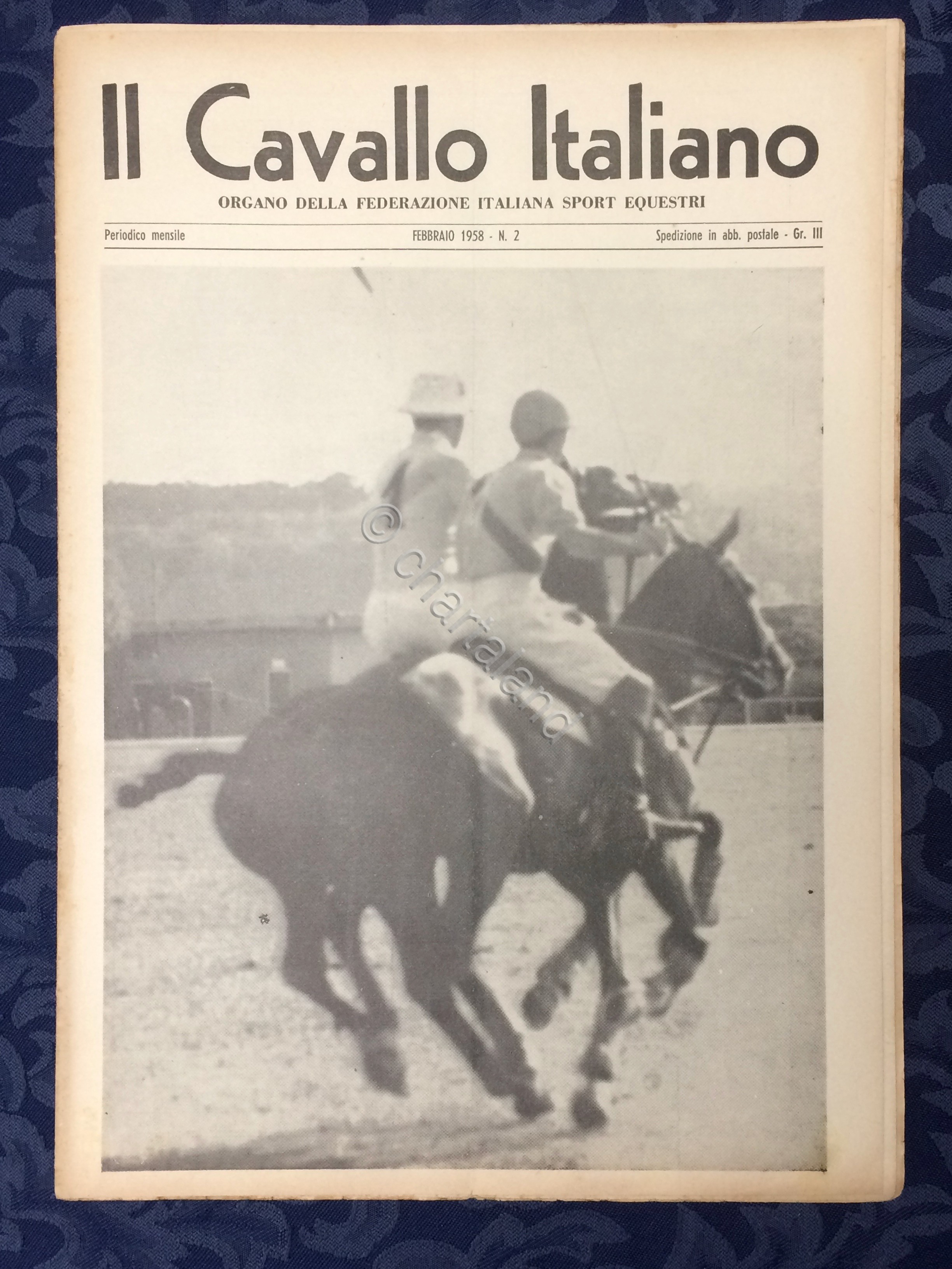 Rivista - Il Cavallo Italiano - N. 2 - Febbraio …