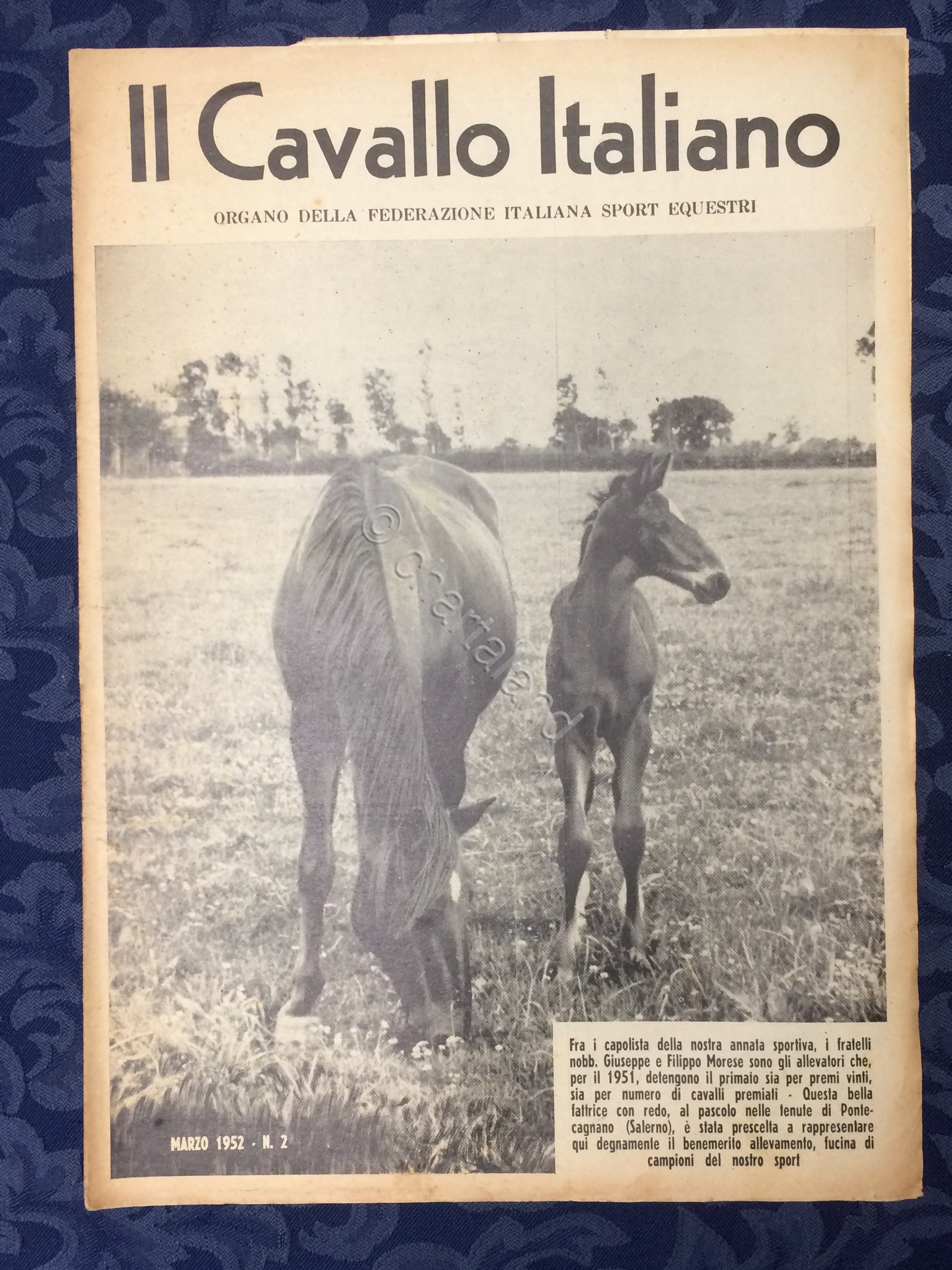 Rivista - Il Cavallo Italiano - N. 2 - Marzo …