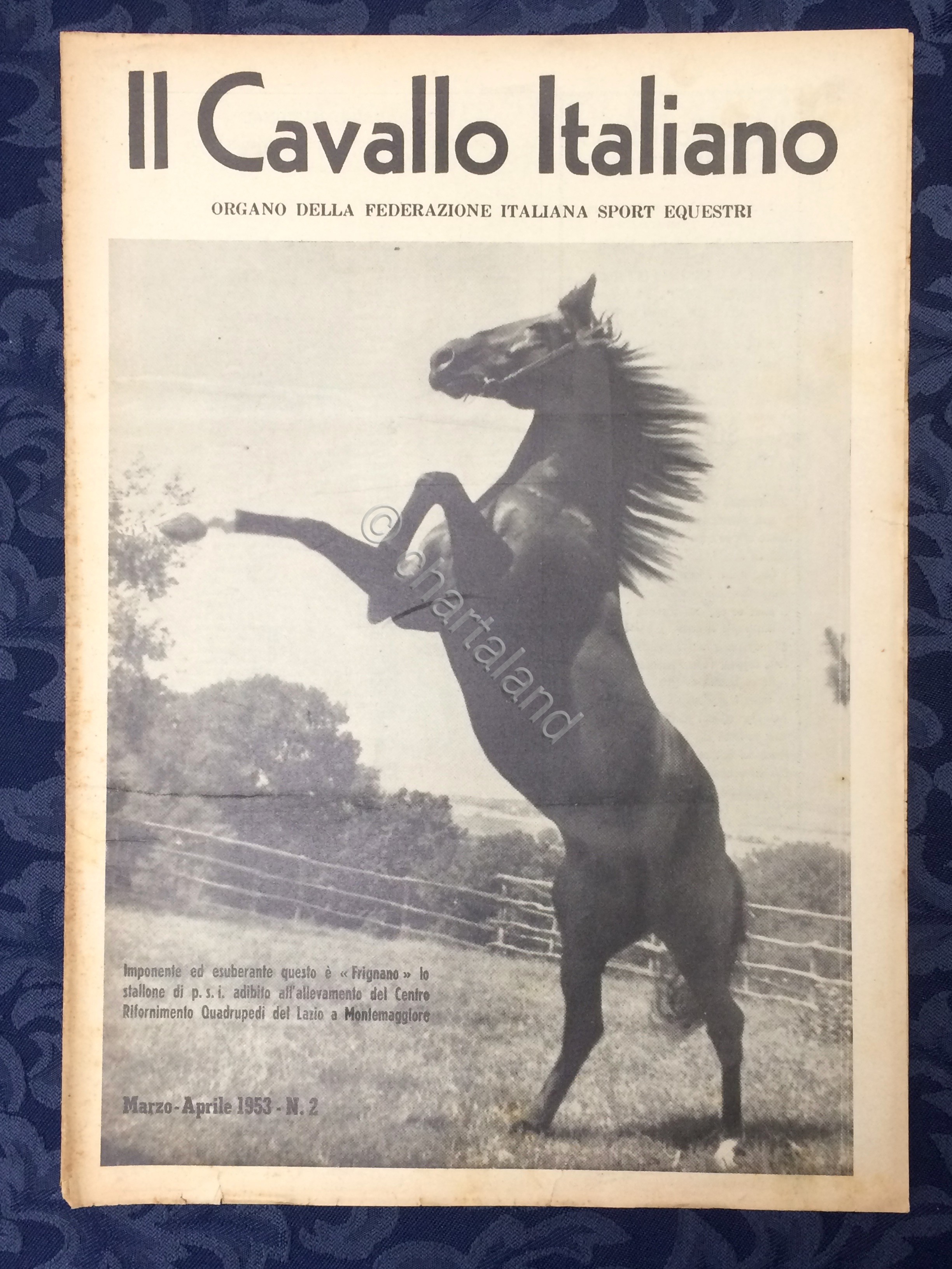Rivista - Il Cavallo Italiano - N. 2 - Marzo …