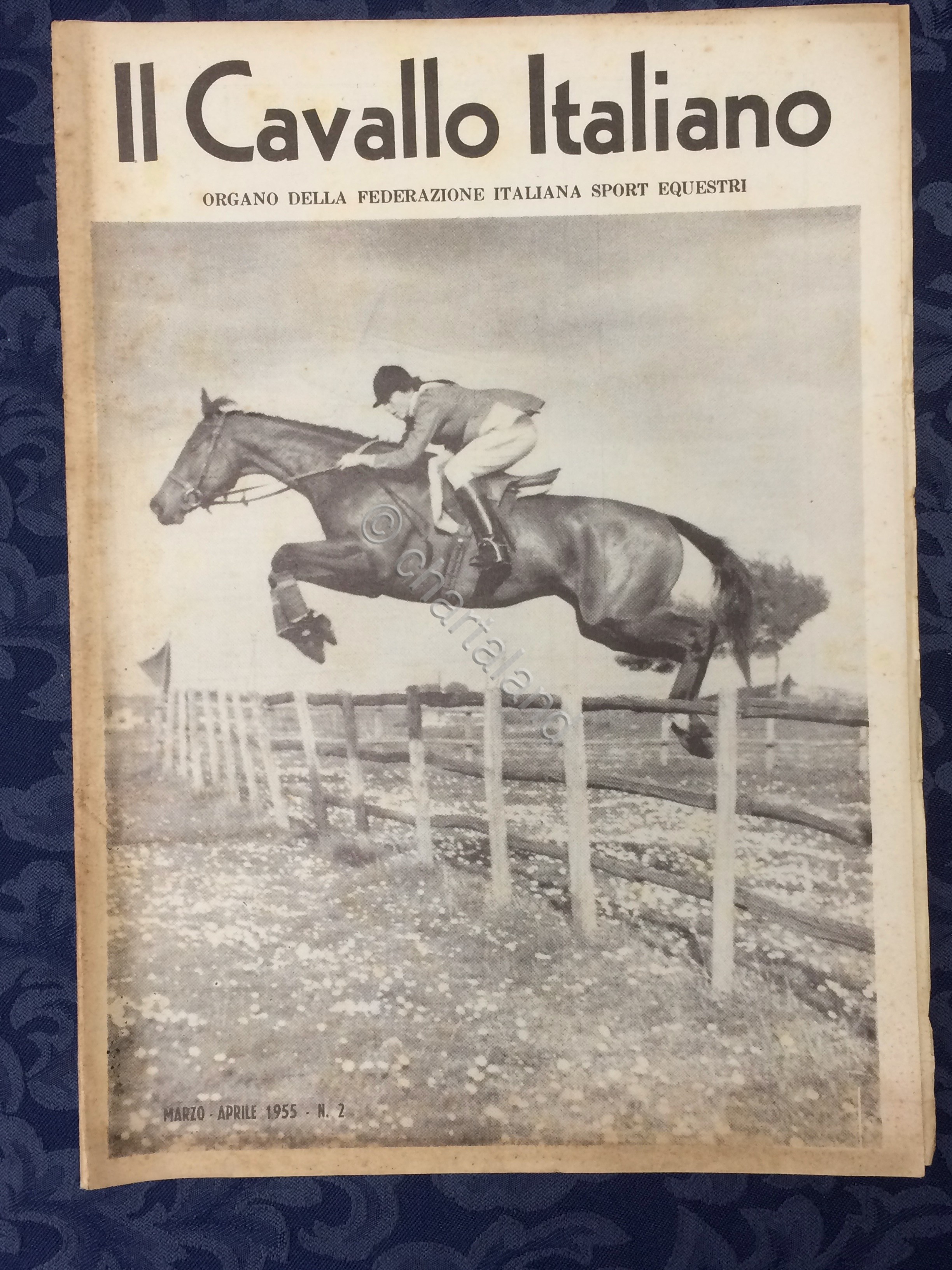 Rivista - Il Cavallo Italiano - N. 2 - Marzo …