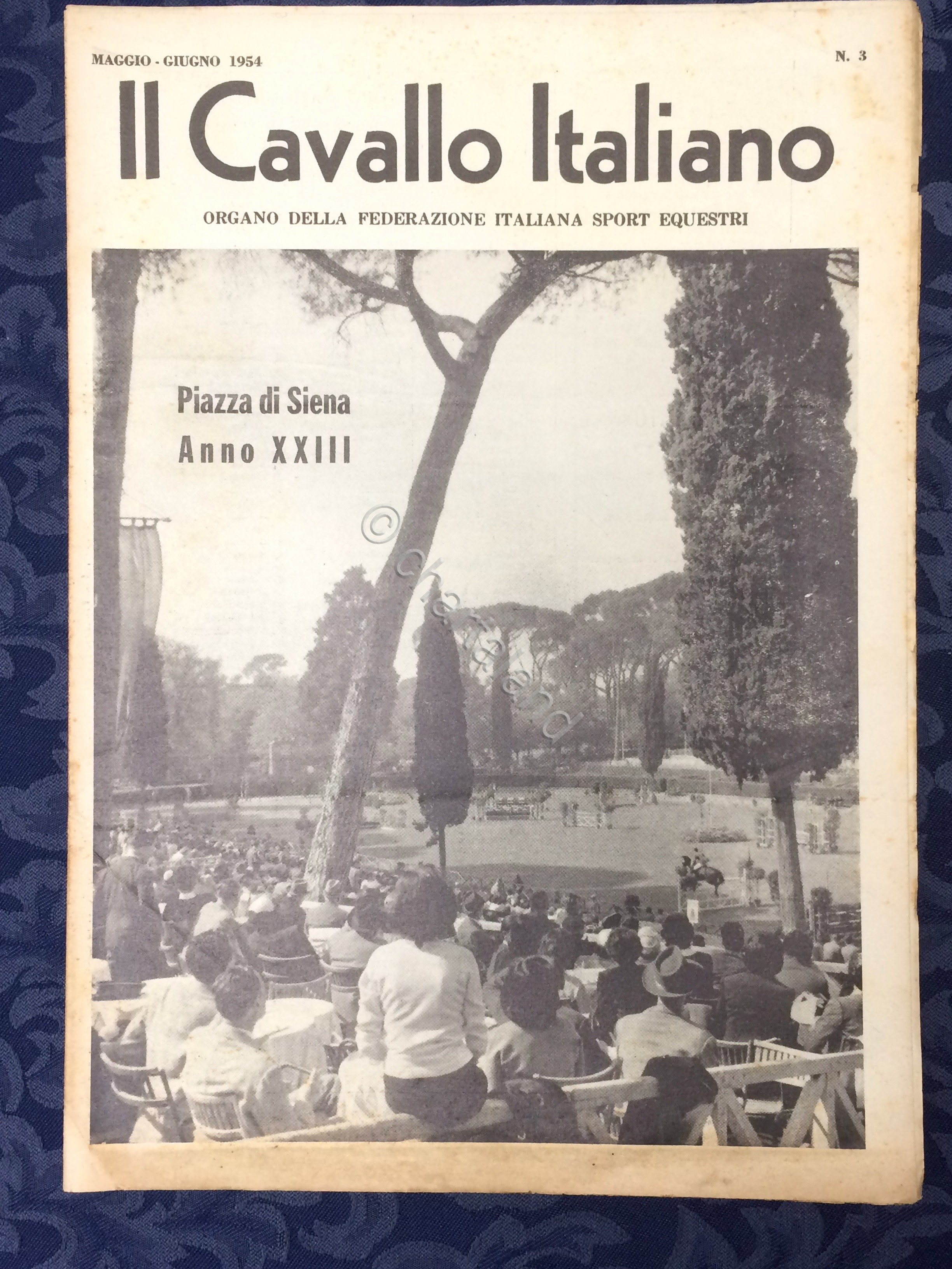 Rivista - Il Cavallo Italiano - N. 3 - Maggio …