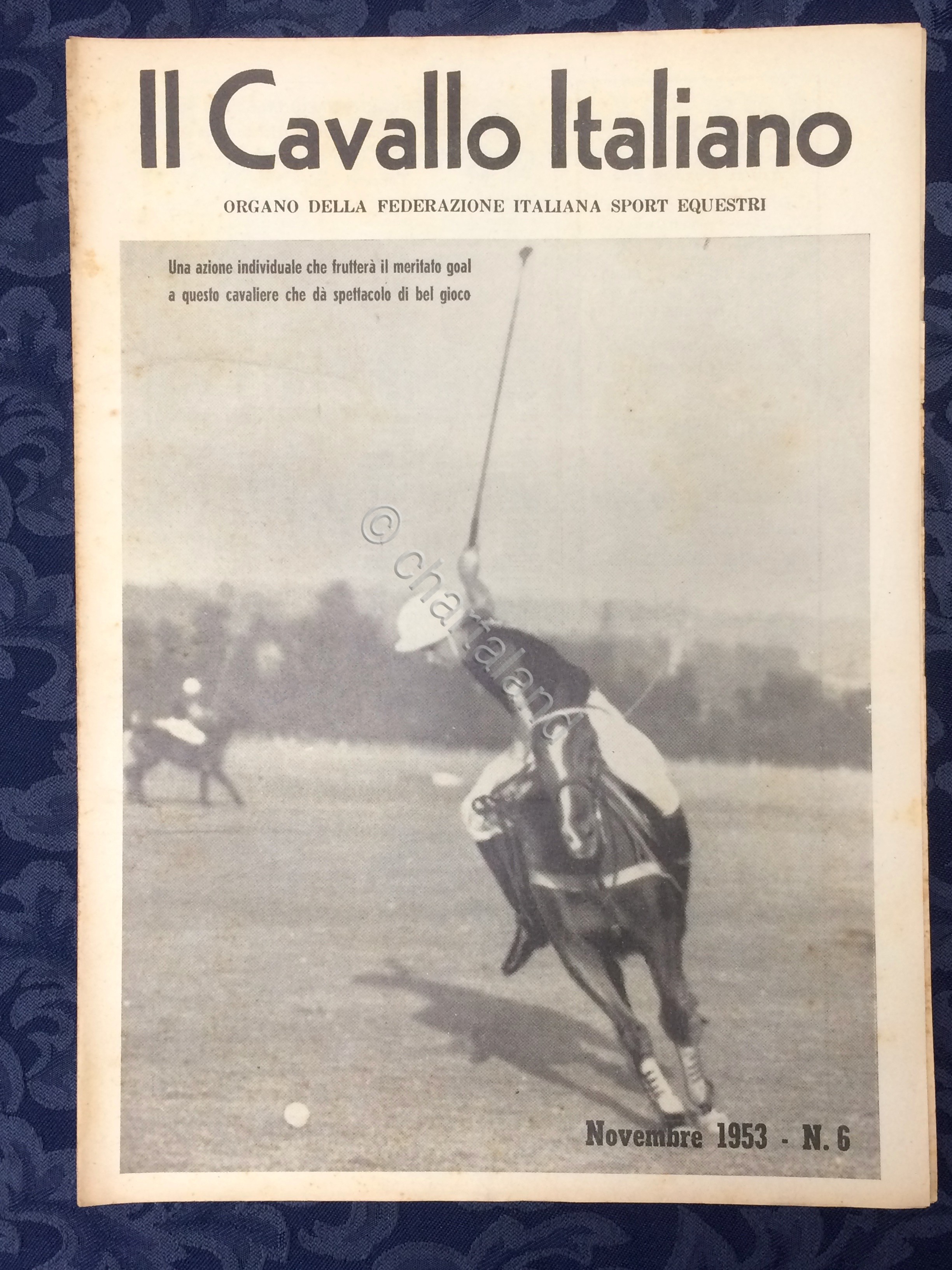 Rivista - Il Cavallo Italiano - N. 6 - Novembre …