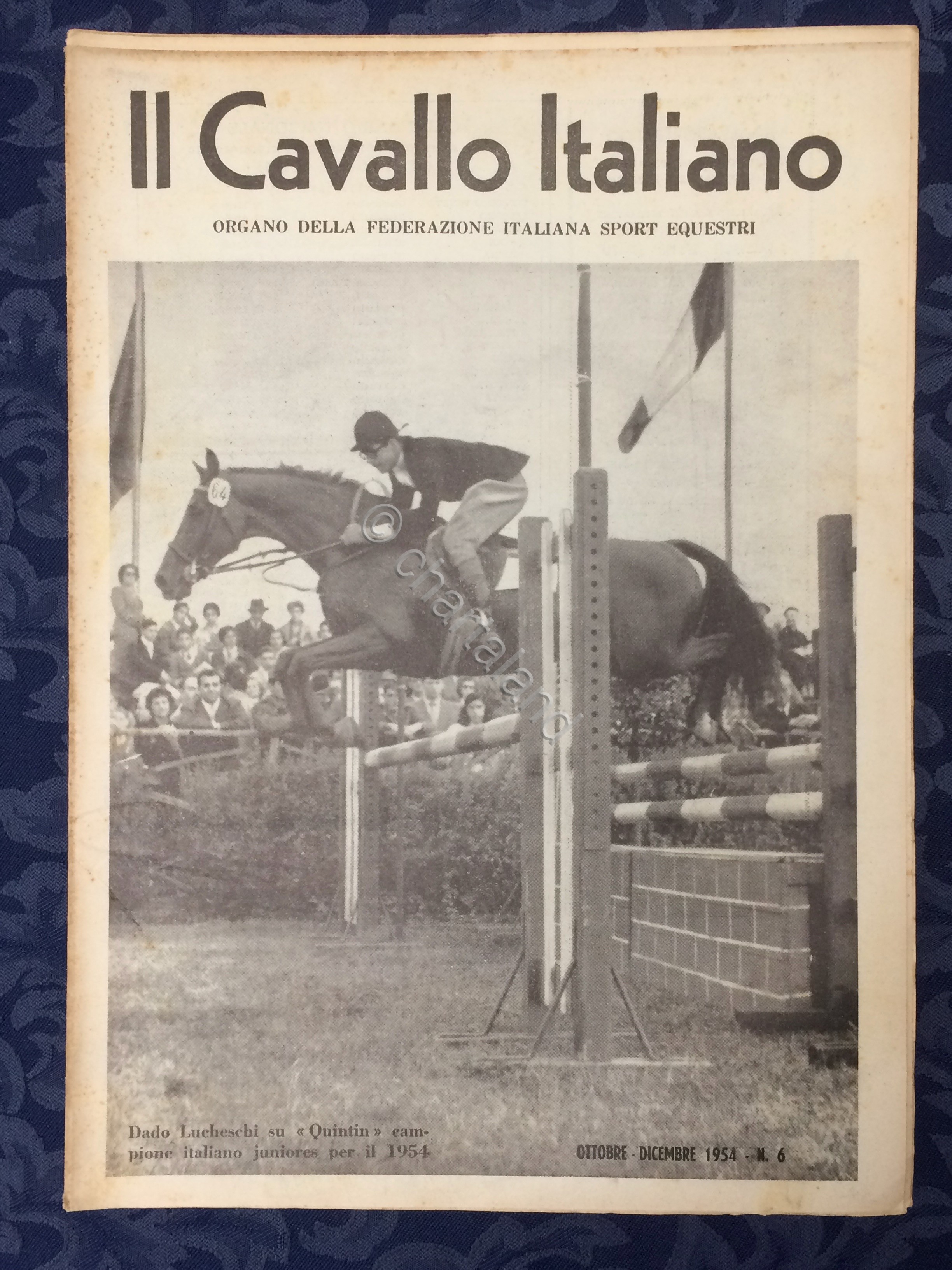 Rivista - Il Cavallo Italiano - N. 6 - Ottobre …