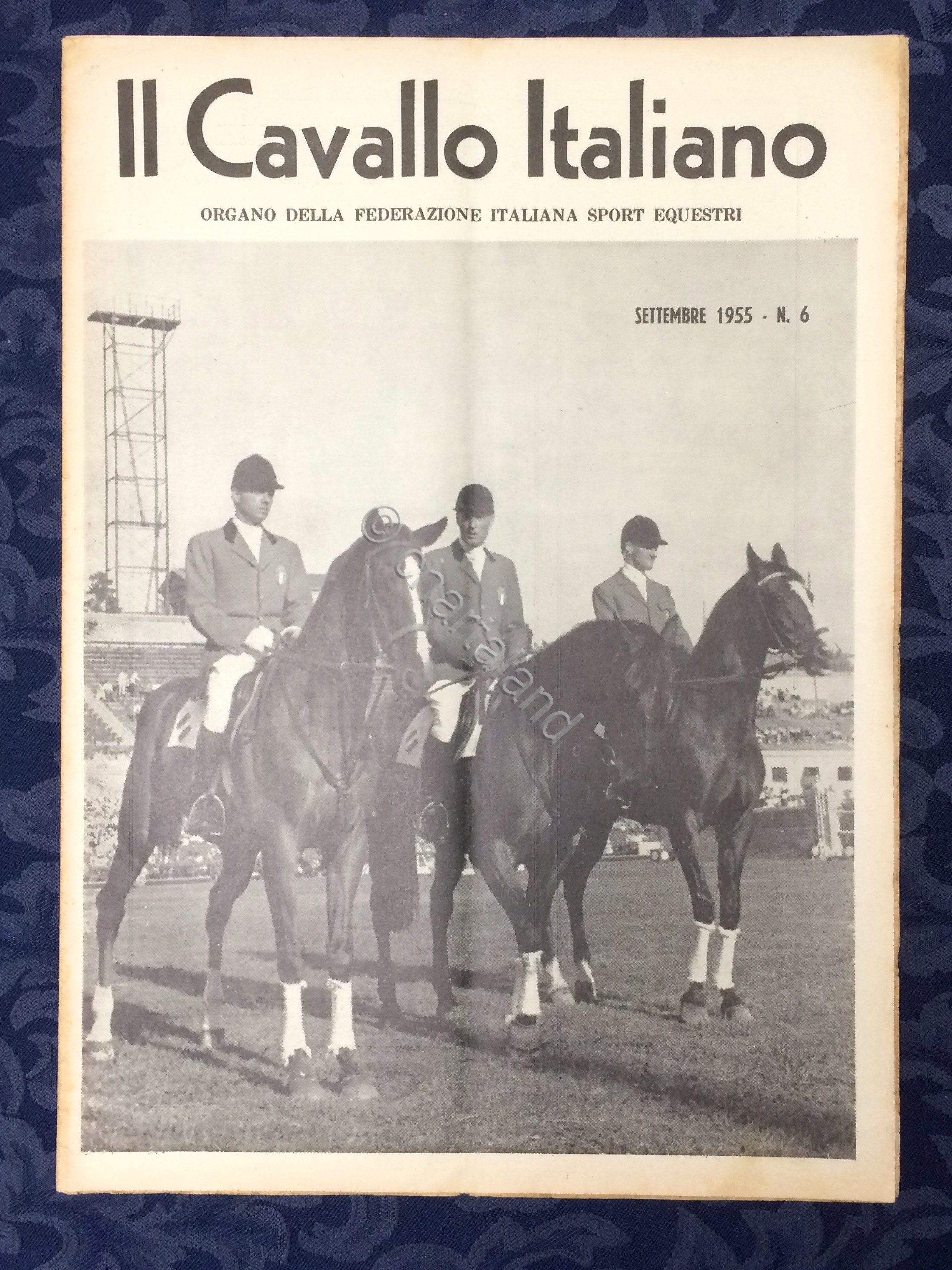 Rivista - Il Cavallo Italiano - N. 6 - Settembre …