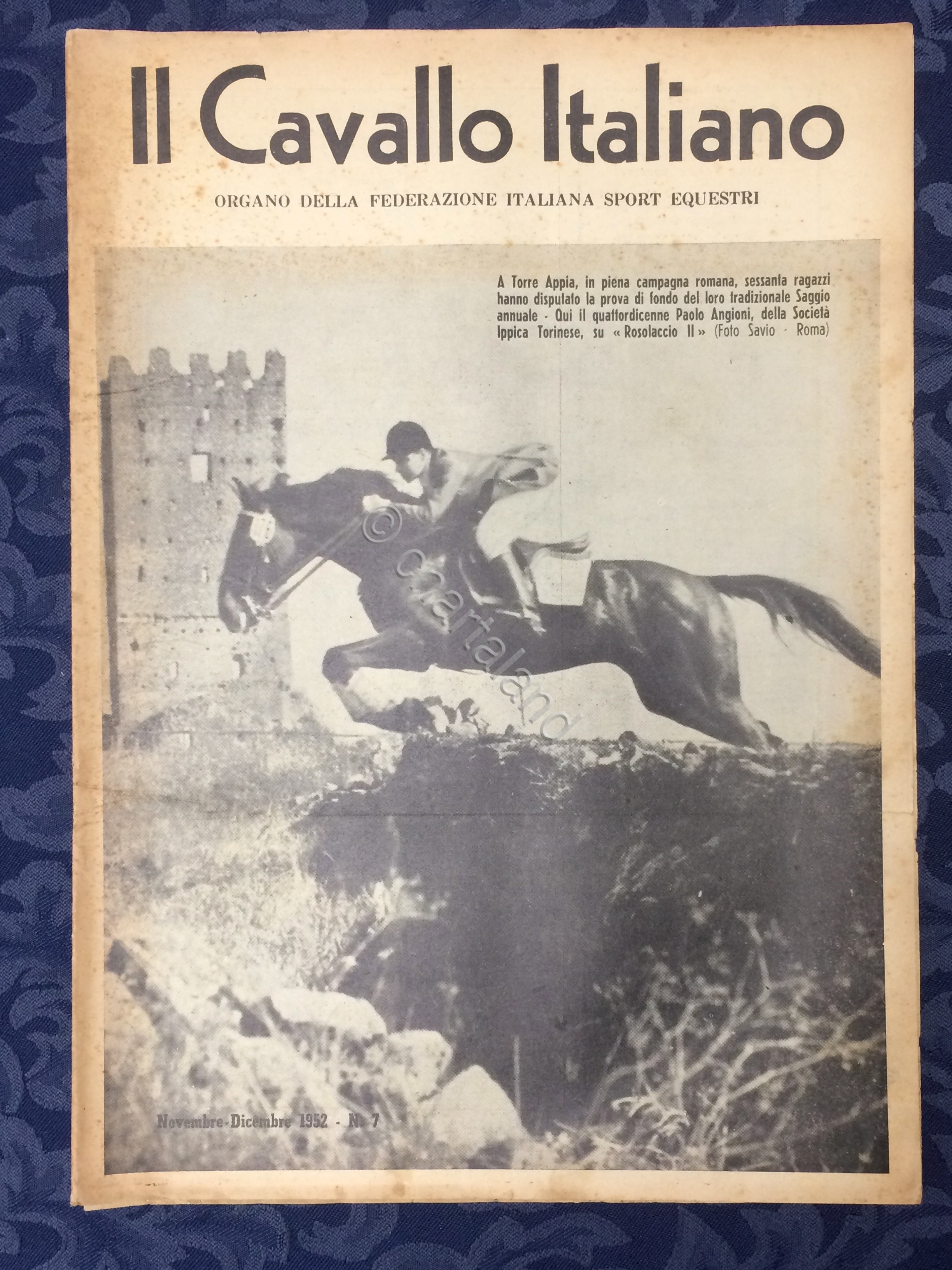 Rivista - Il Cavallo Italiano - N. 7 - Novembre …