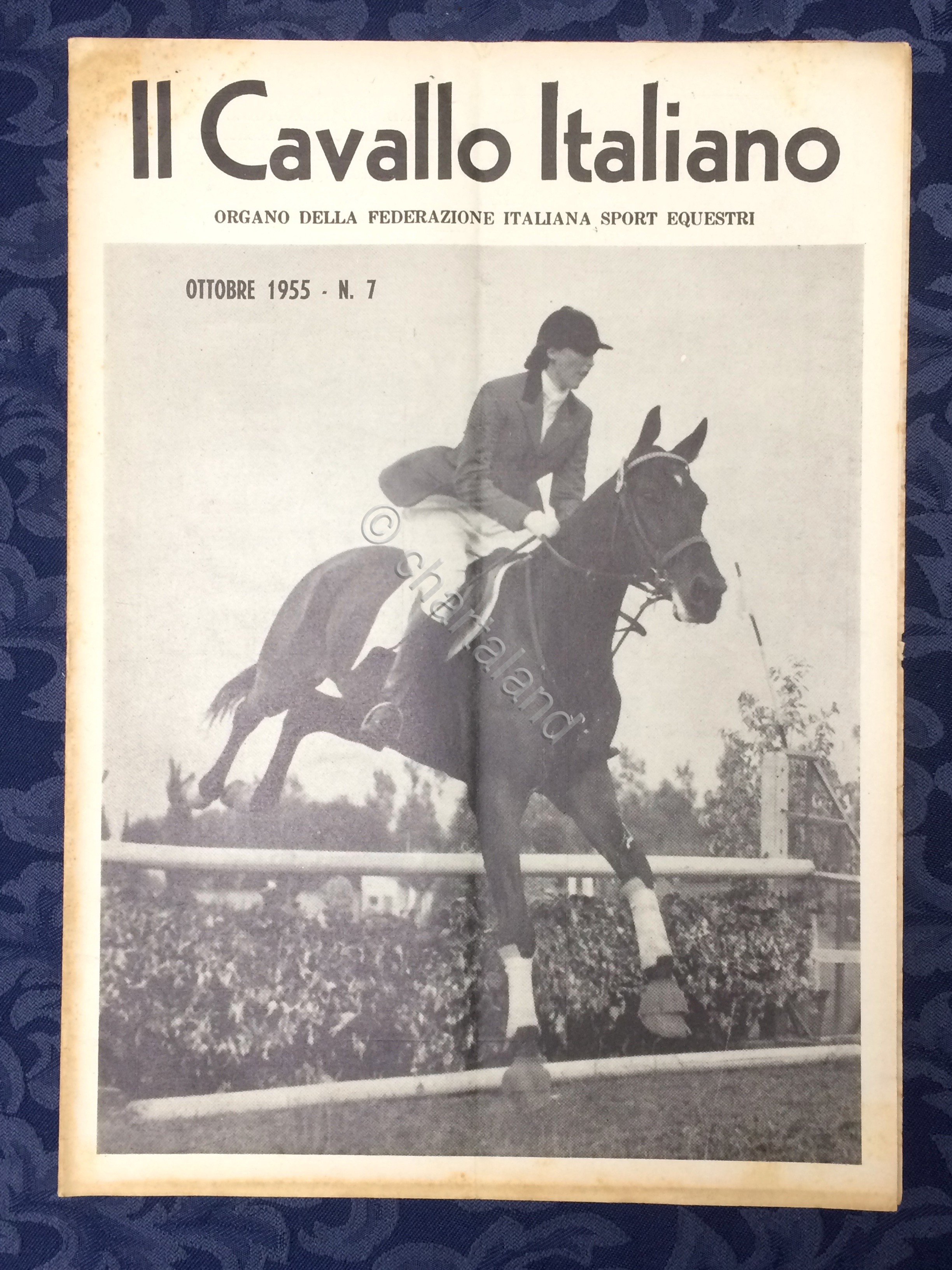 Rivista - Il Cavallo Italiano - N. 7 - Ottobre …
