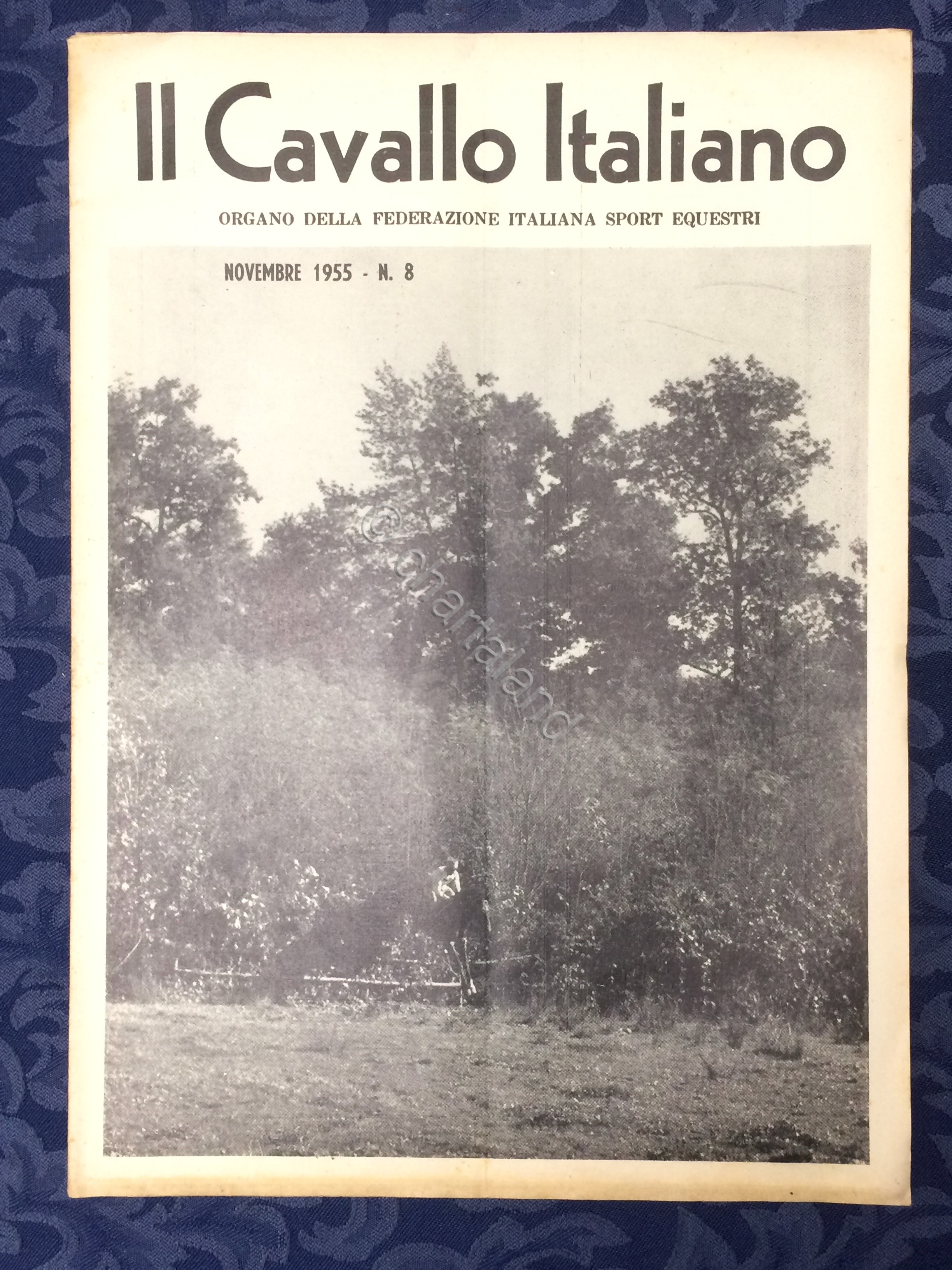 Rivista - Il Cavallo Italiano - N. 8 - Novembre …