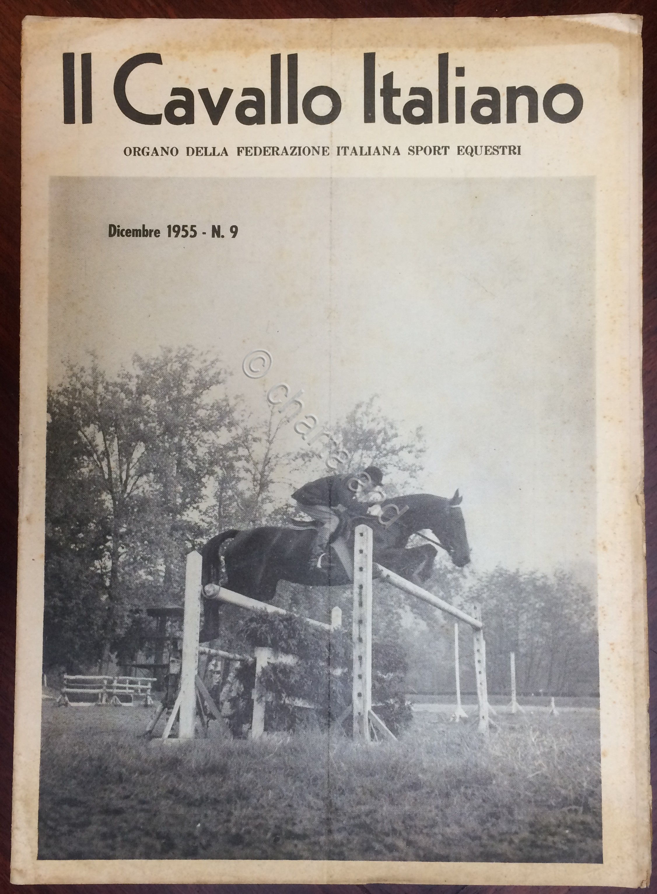 Rivista - Il Cavallo Italiano - N. 9 - Dicembre …