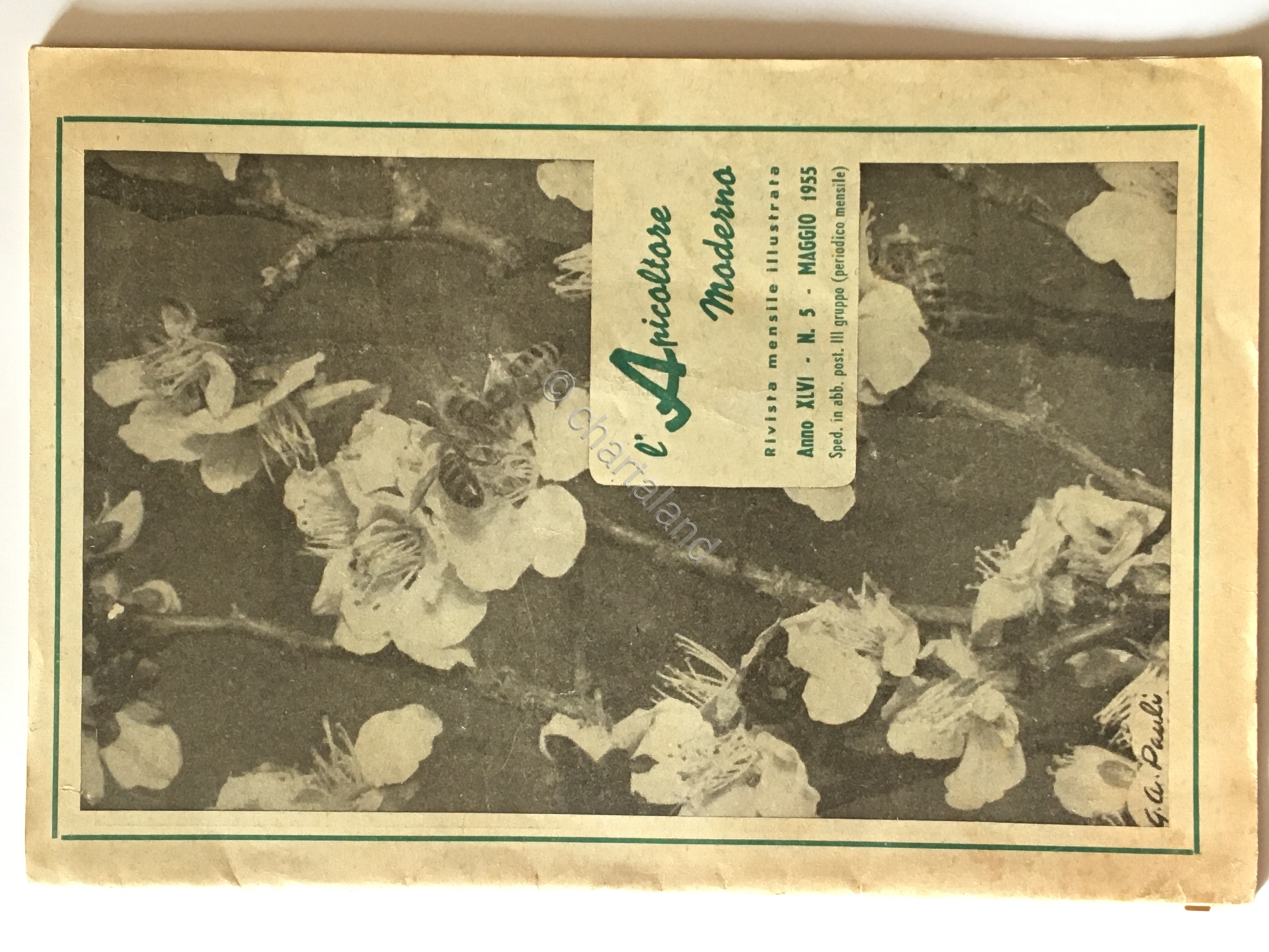 Rivista - L'Apicoltore Moderno - N. 5 - Maggio 1955