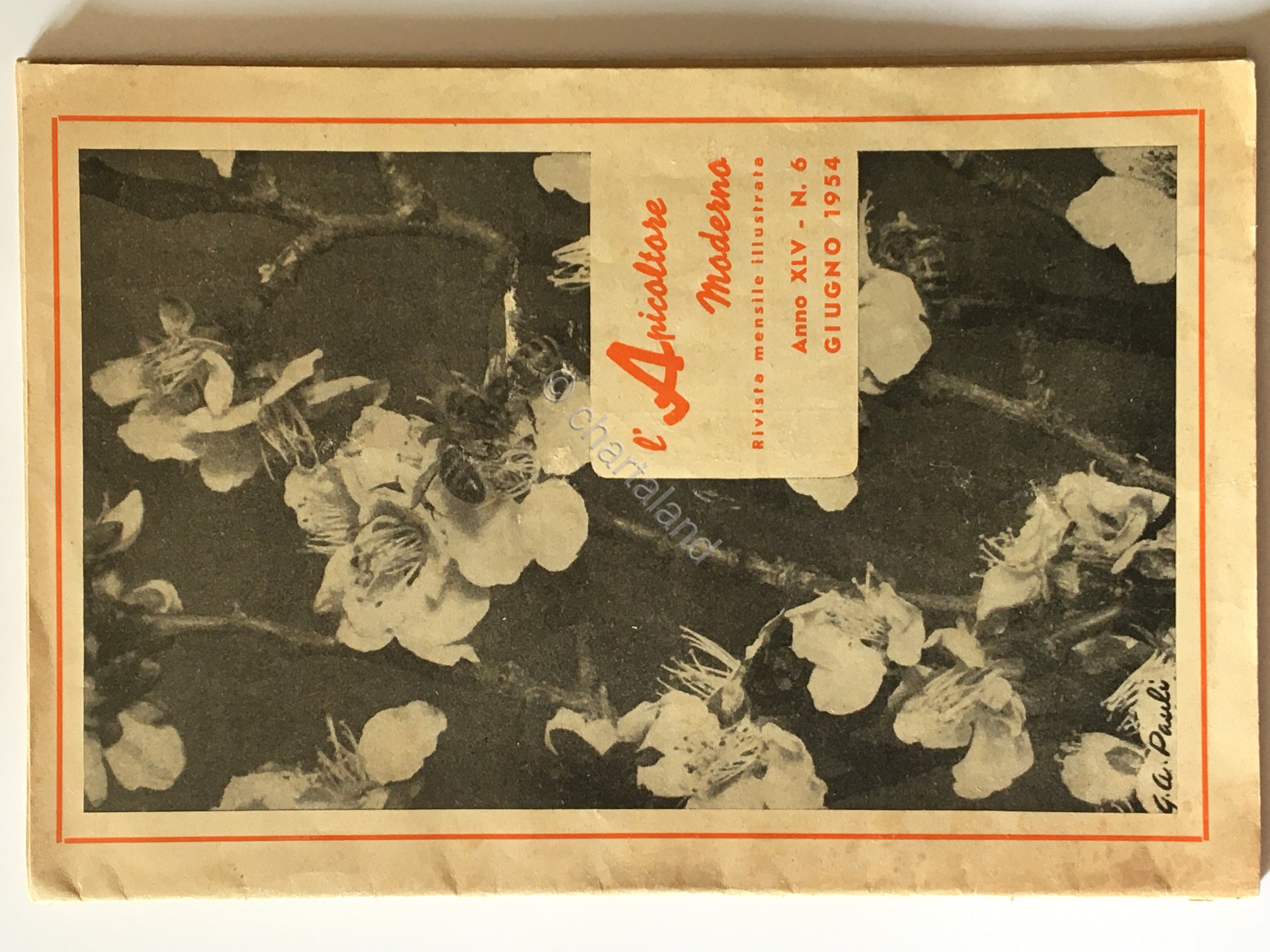 Rivista - L'Apicoltore Moderno - N. 6 - Maggio 1954