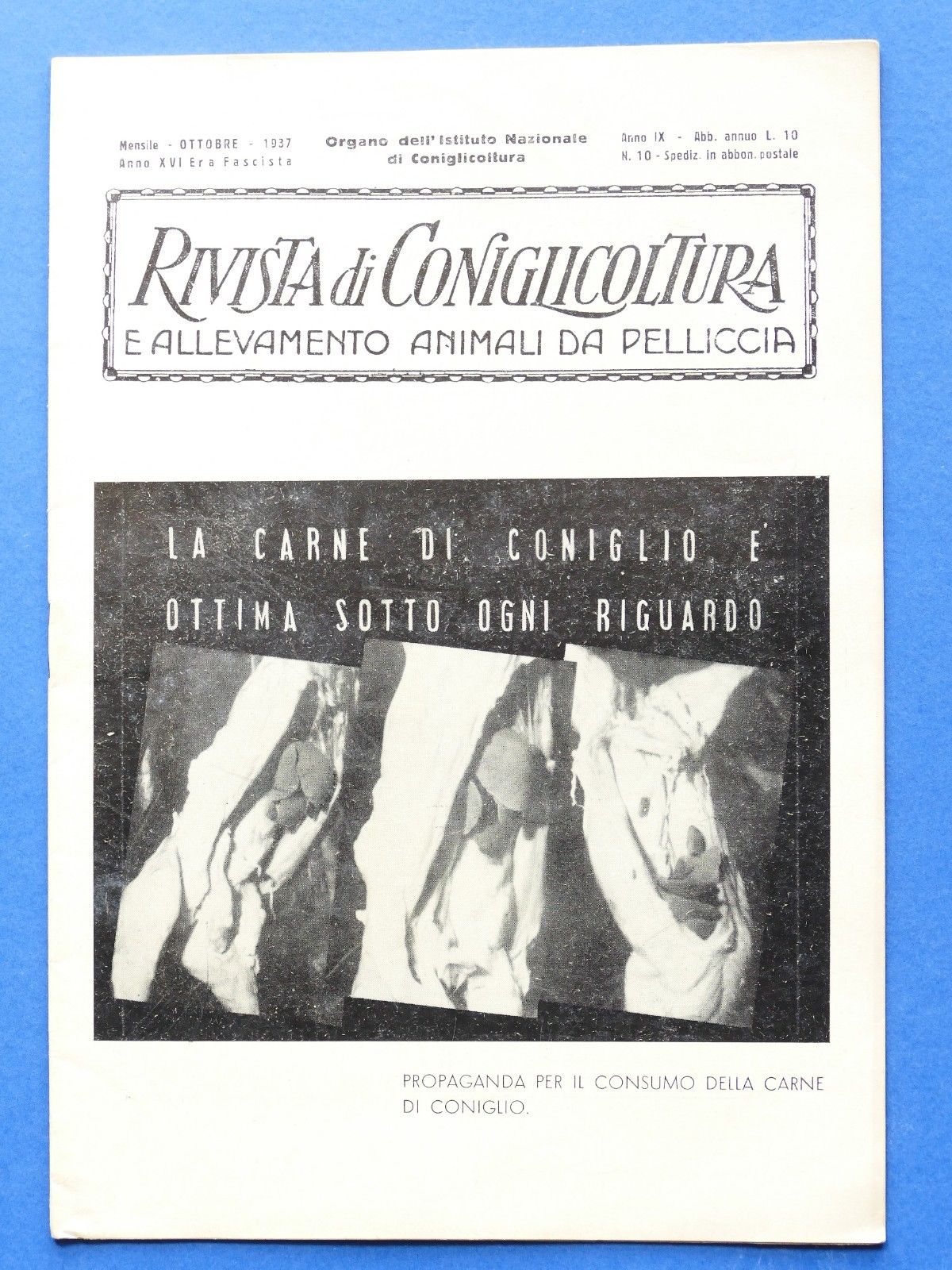 Rivista di Coniglicoltura e allevamento animali da pelliccia - N° …