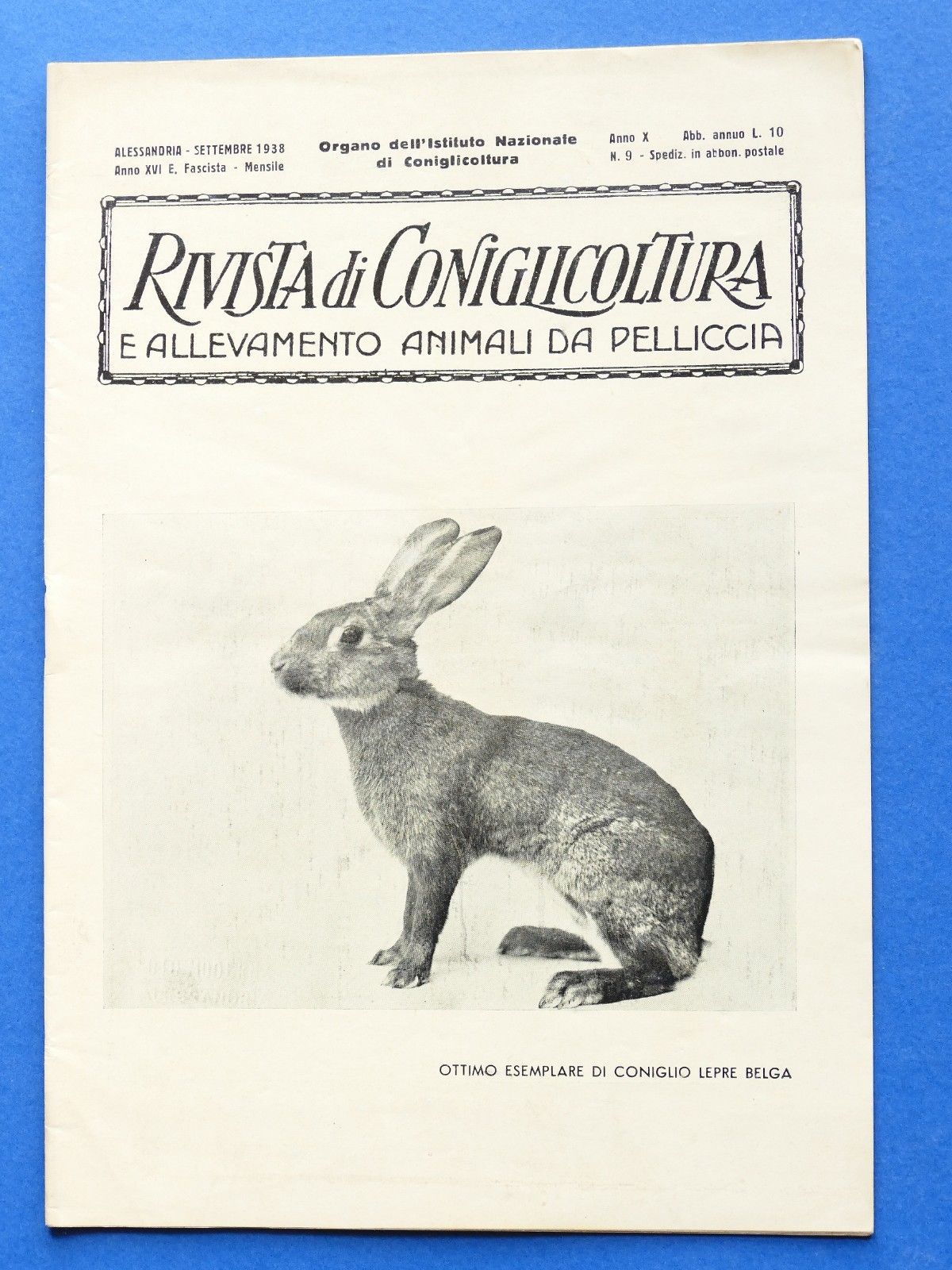 Rivista di Coniglicoltura e allevamento animali da pelliccia - N° …