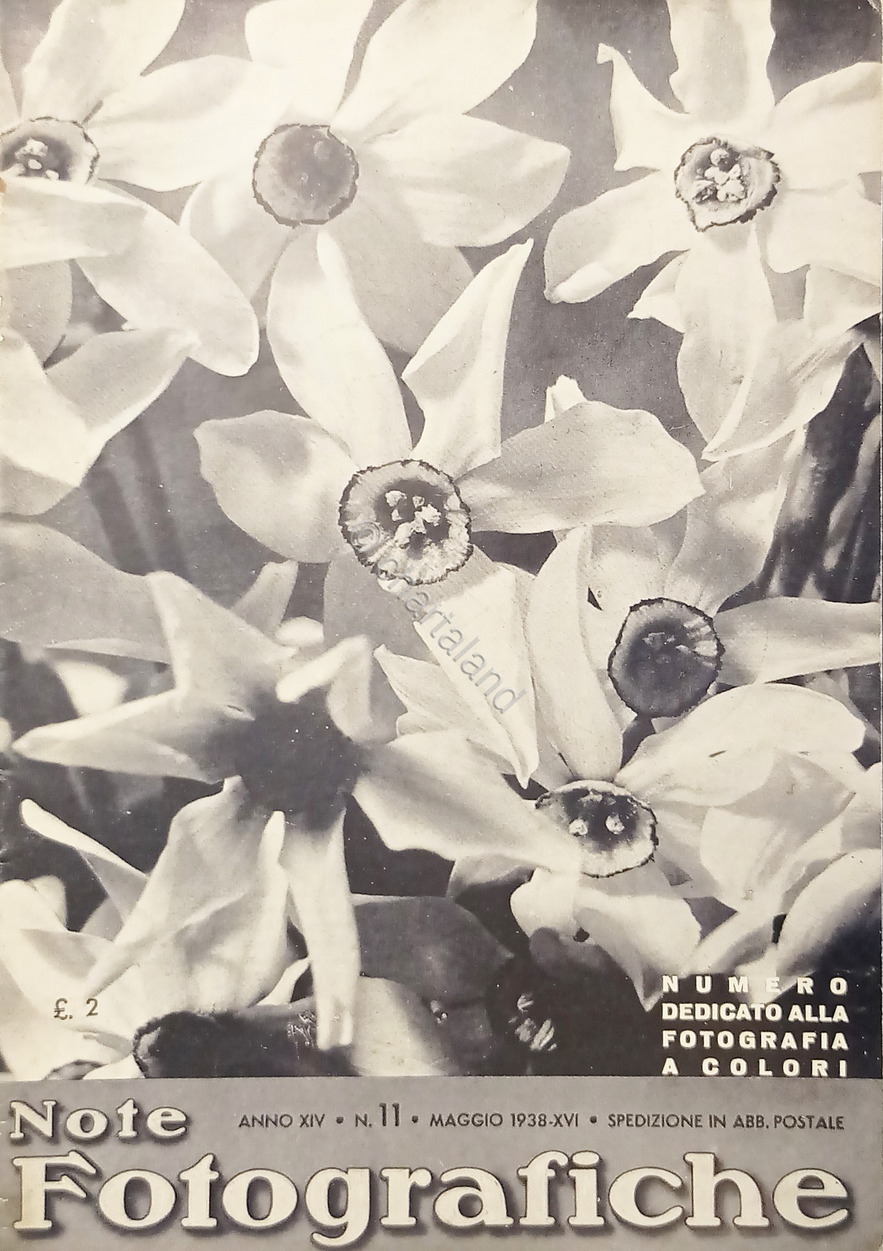 Rivista di Fotografia e Cinematografia Agfa - Note Fotografiche N. …