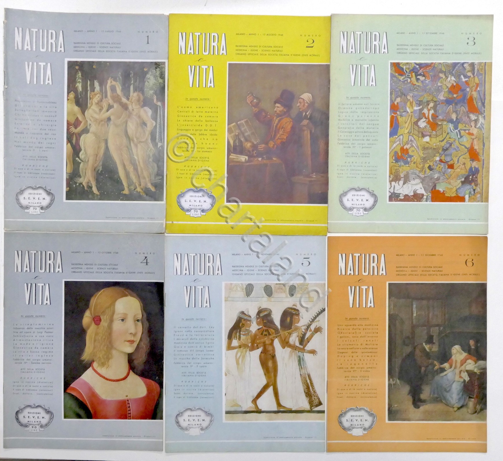 Rivista Natura e Vita - Anno I completo - 6 …