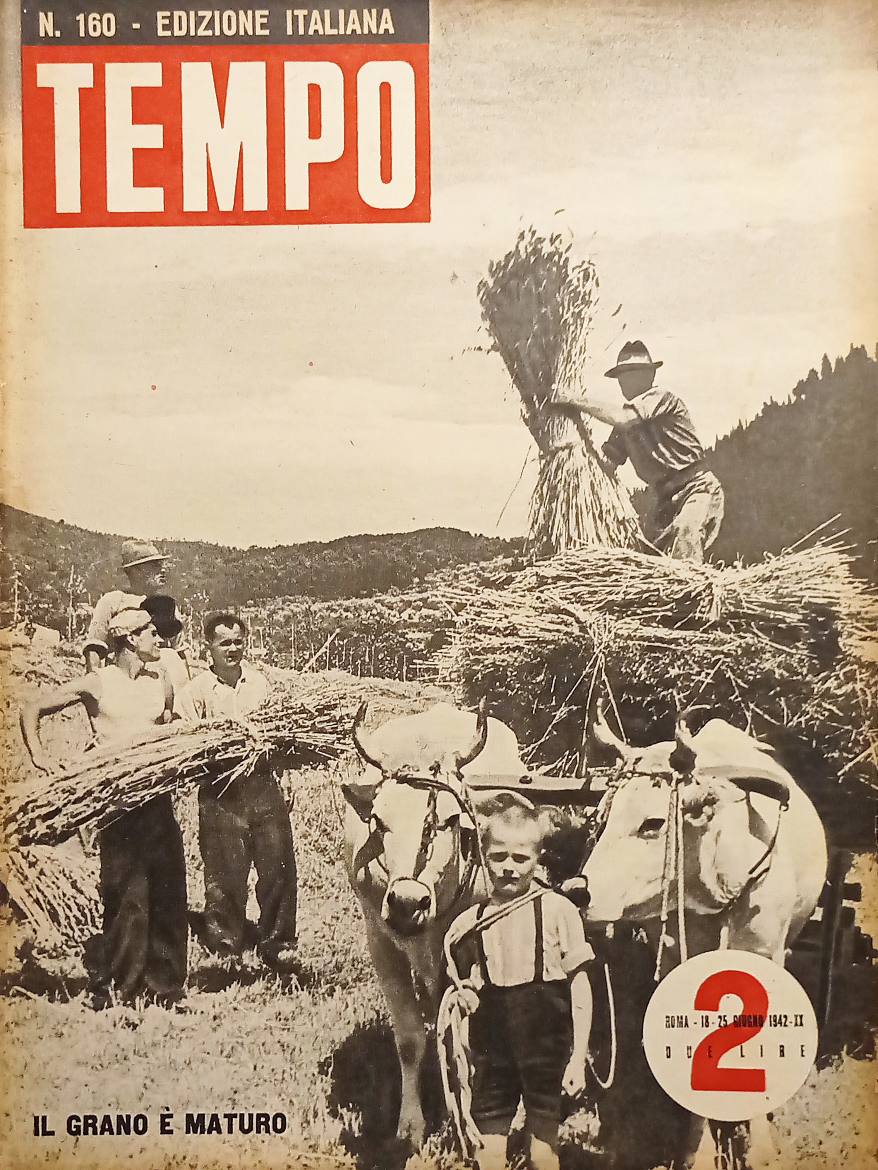 Rivista WWII - Tempo N. 160 - Il grano è …