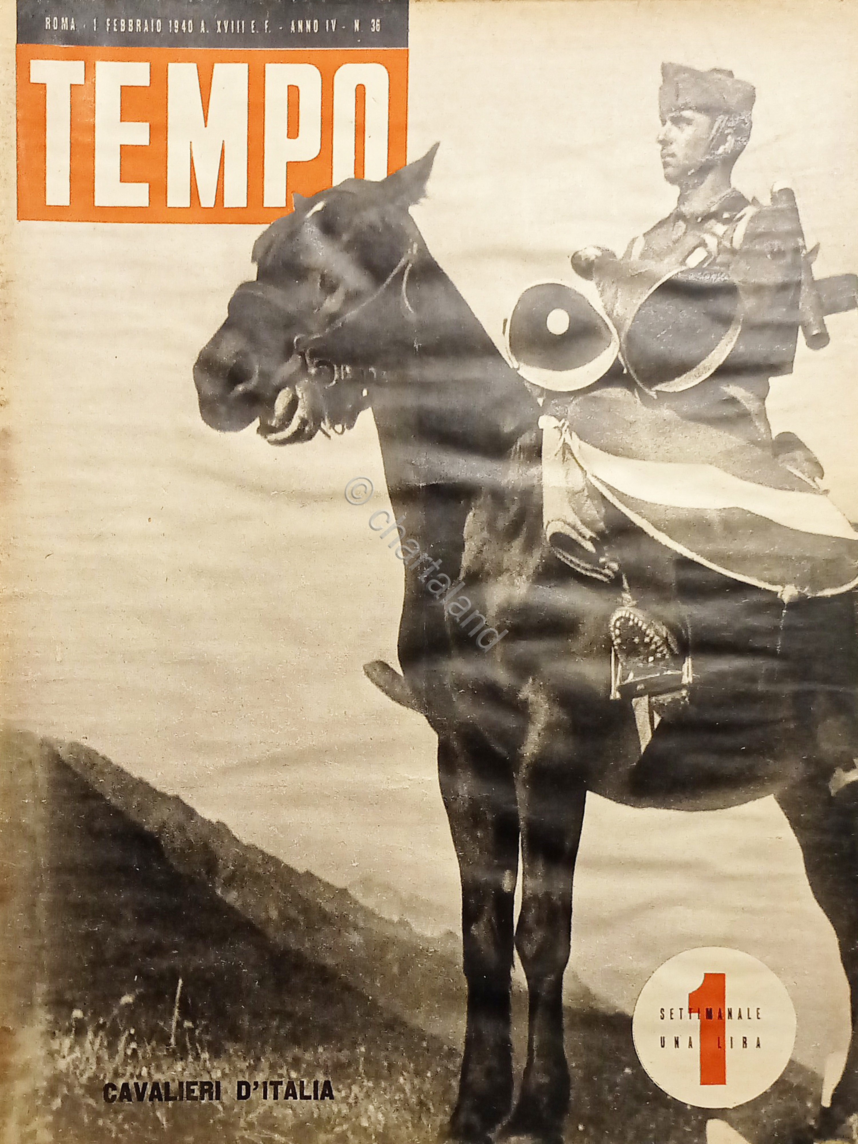 Rivista WWII - Tempo N. 36 - Cavalieri d'Italia - …
