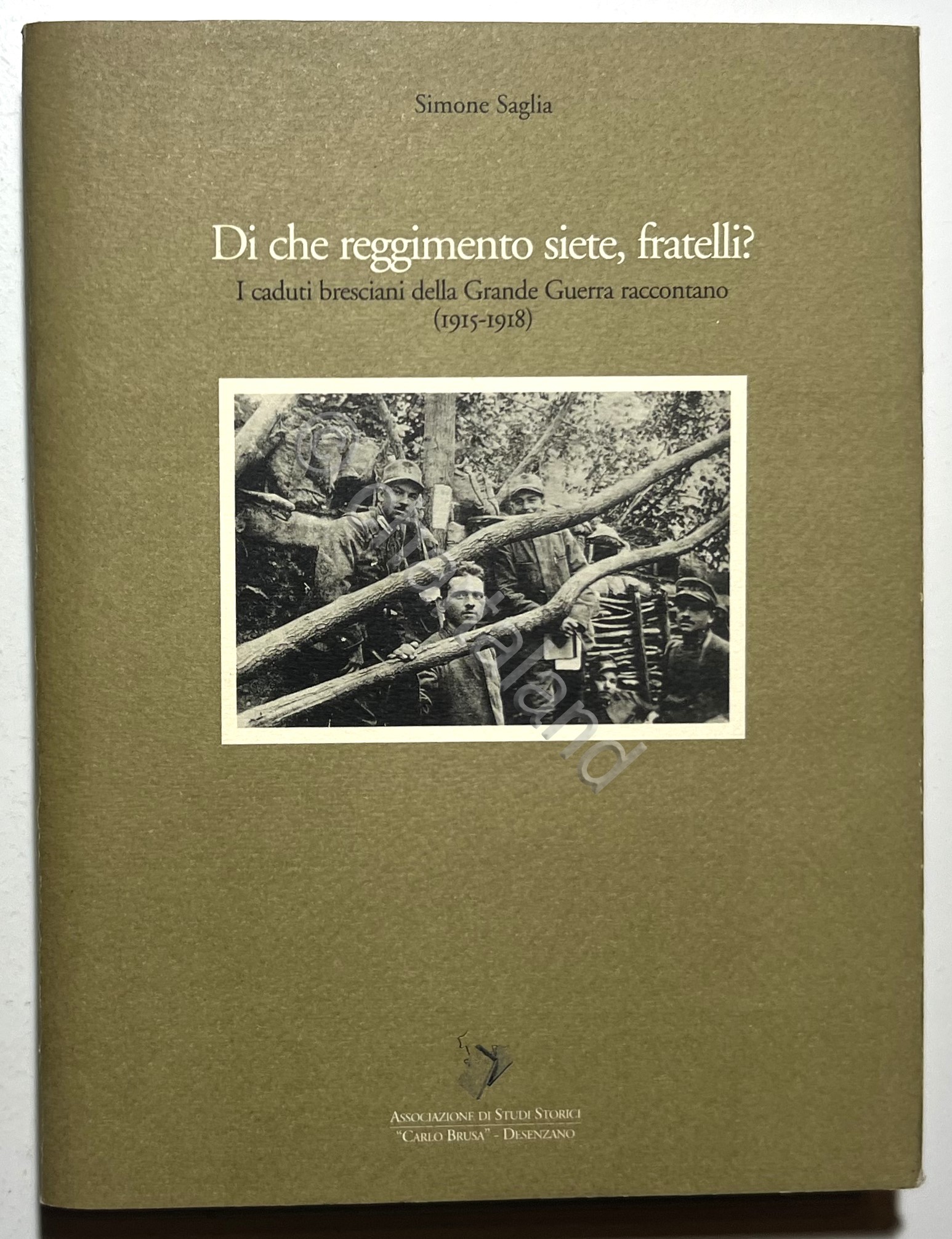 S. Saglia - Di che regime siete, fratelli?: I caduti …