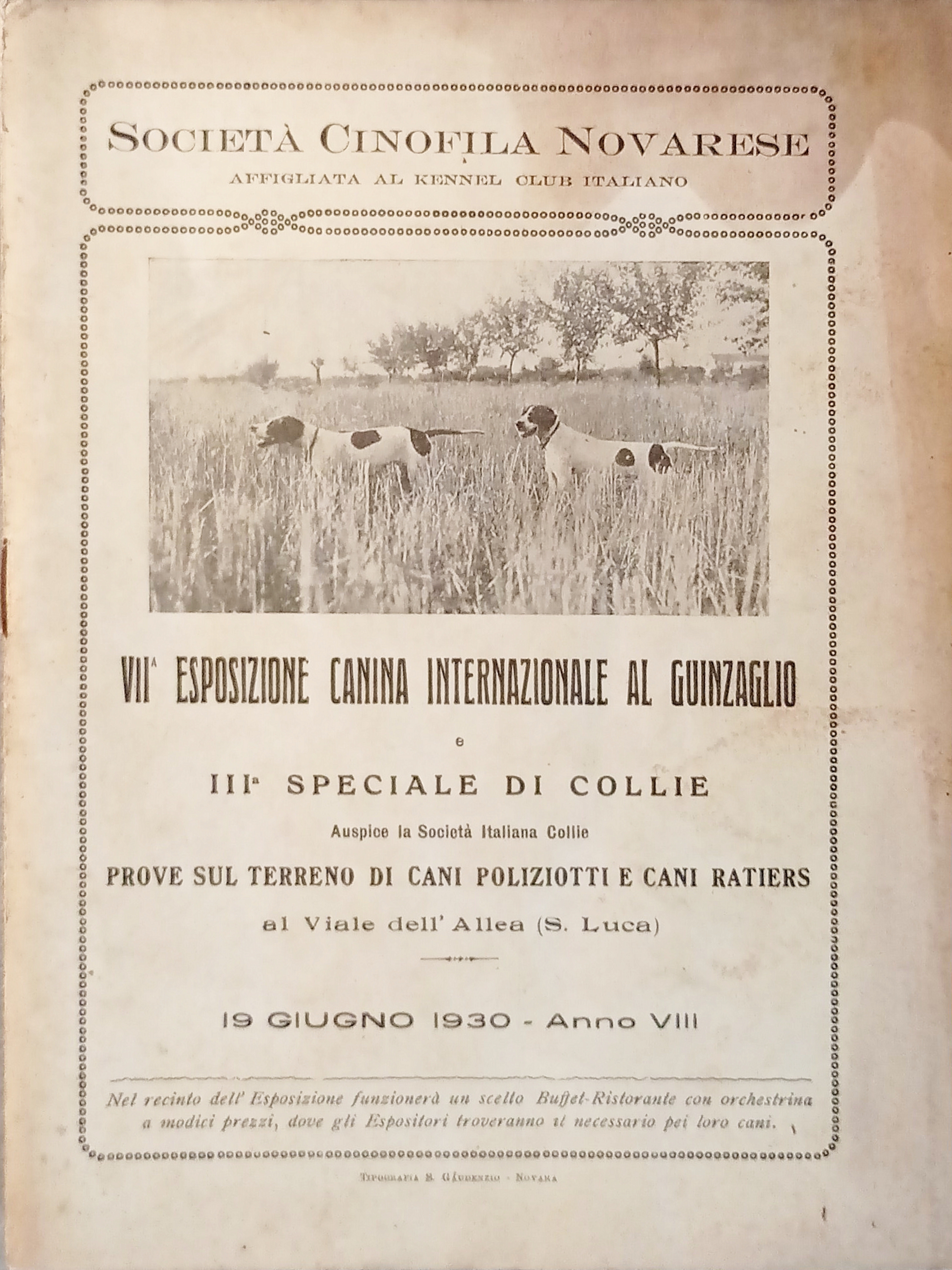 Società Cinofila Novarese - VII^ Esposizione Canina Internaz. al Guinzaglio …