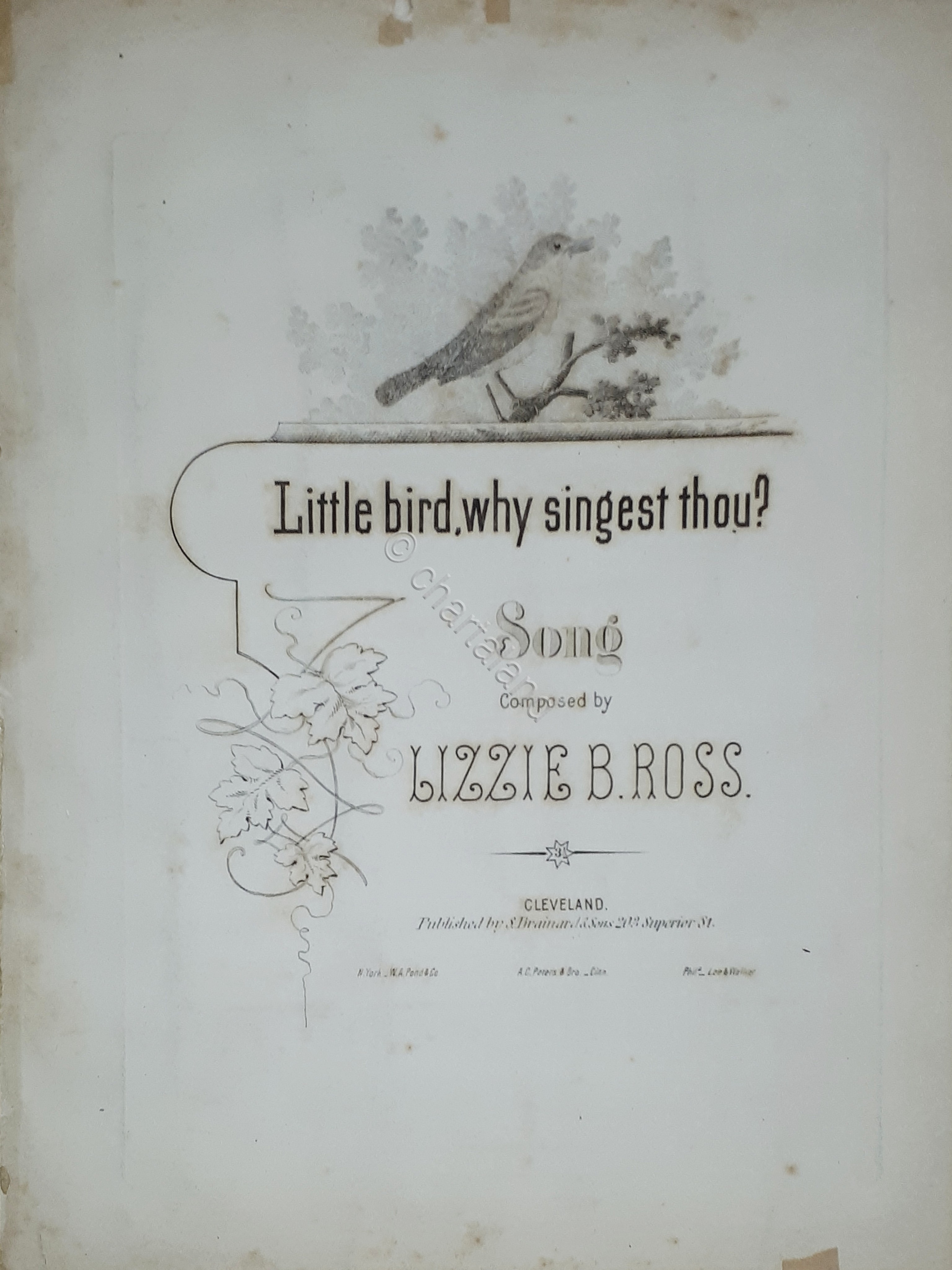 Spartiti - Little bird, whay singest thou? - Song by …