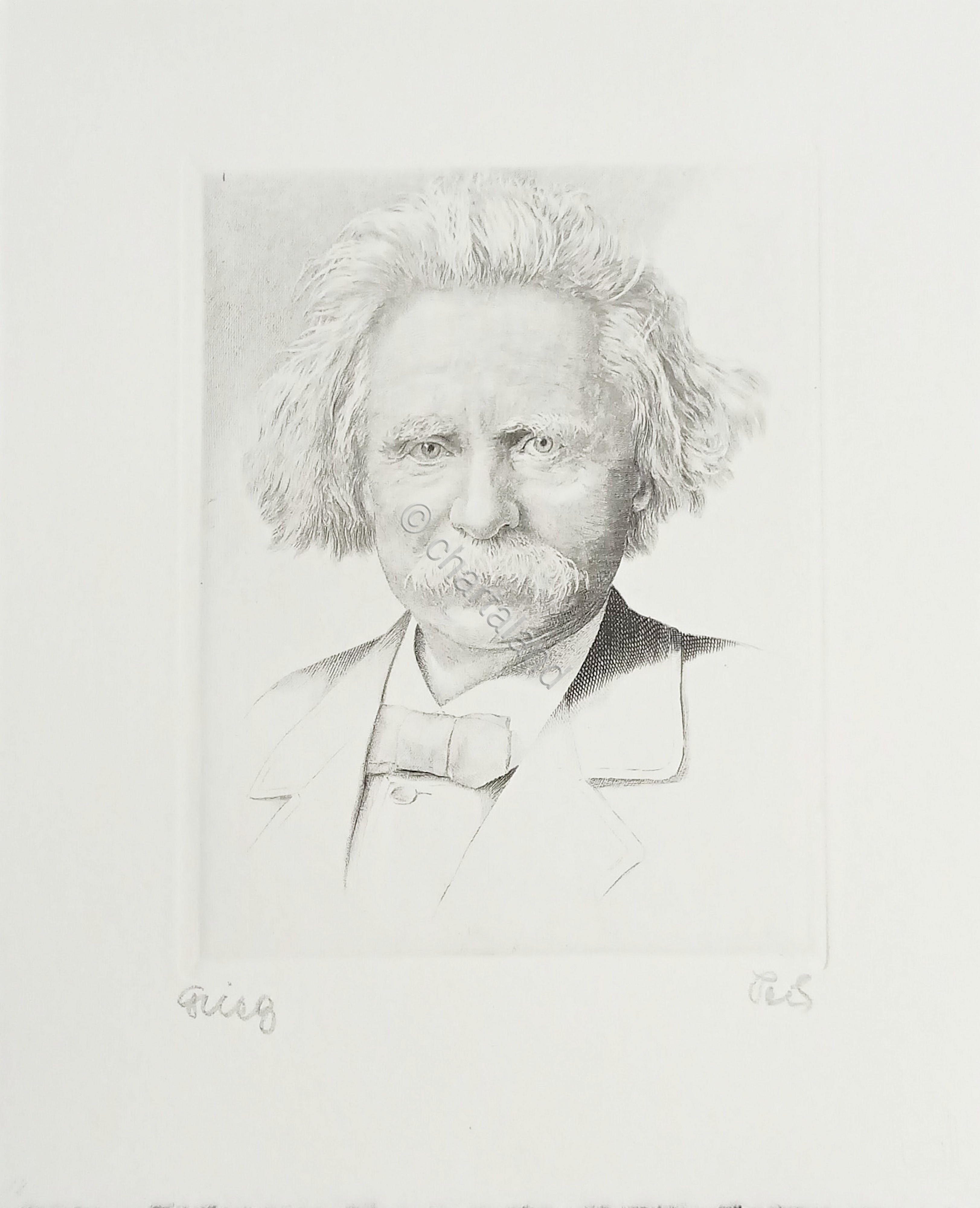 Stampa da incisione - Compositore Edvard Hagerup Grieg - Sec. …
