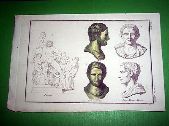 Stampa Incisione Storia e Mitologia - Lacoonte , Lucio Mammio …
