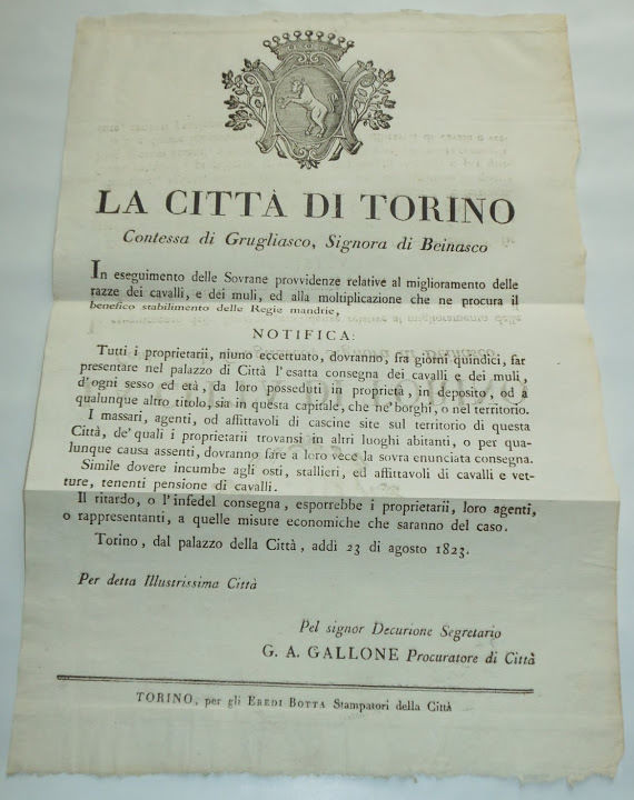 Torino Obbligo di Consegna Cavalli e Muli x Miglioramento Razza …