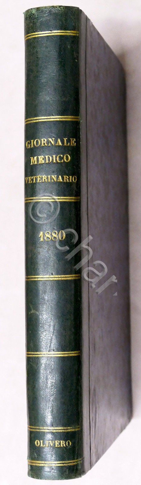 Veterinaria - Il Medico Veterinario - Giornale teorico pratico - …