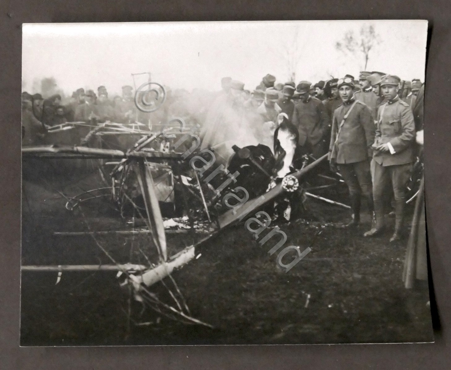 WWI - Fotografia aeroplano austriaco abbattutto da aviazione italiana - …