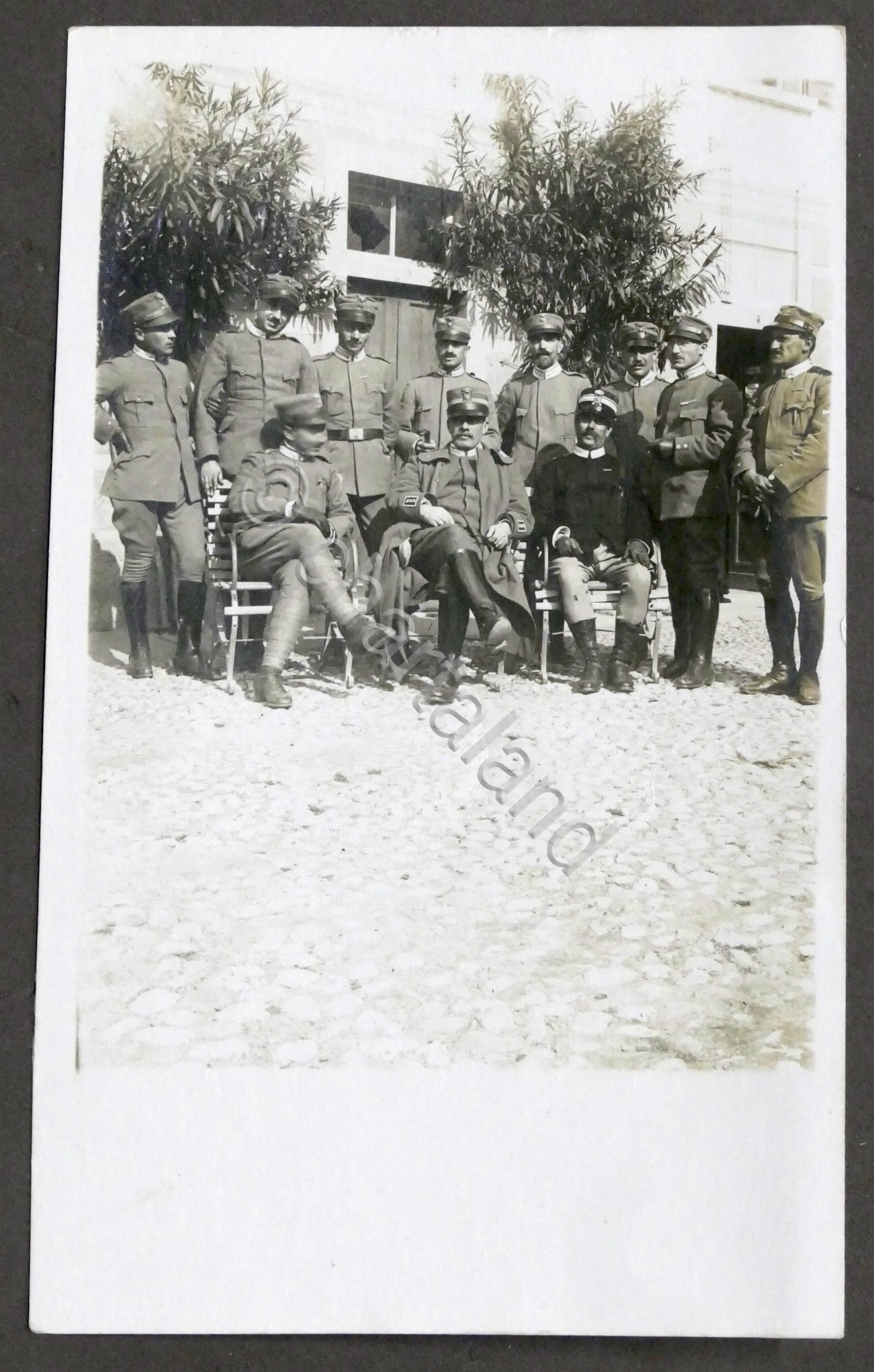 WWI - Fotografia Generale Luigi Cadorna con Ufficiali Italiani - …
