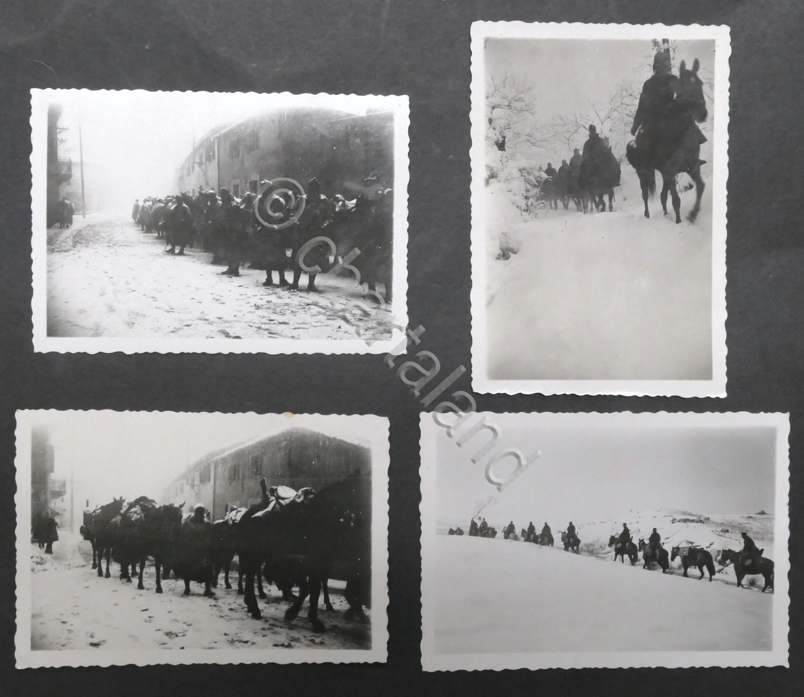 WWII - Lotto 4 fotografie Esercito Italiano Armir - Russia …