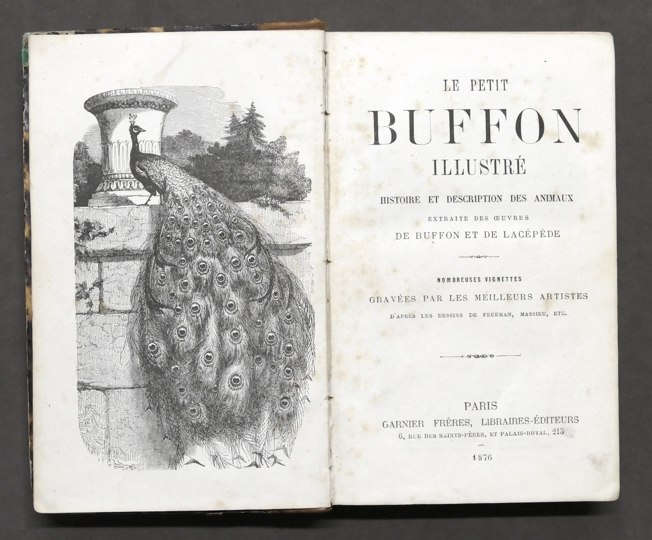 Zoologia - Le petit Buffon illustré - Histoire et description …