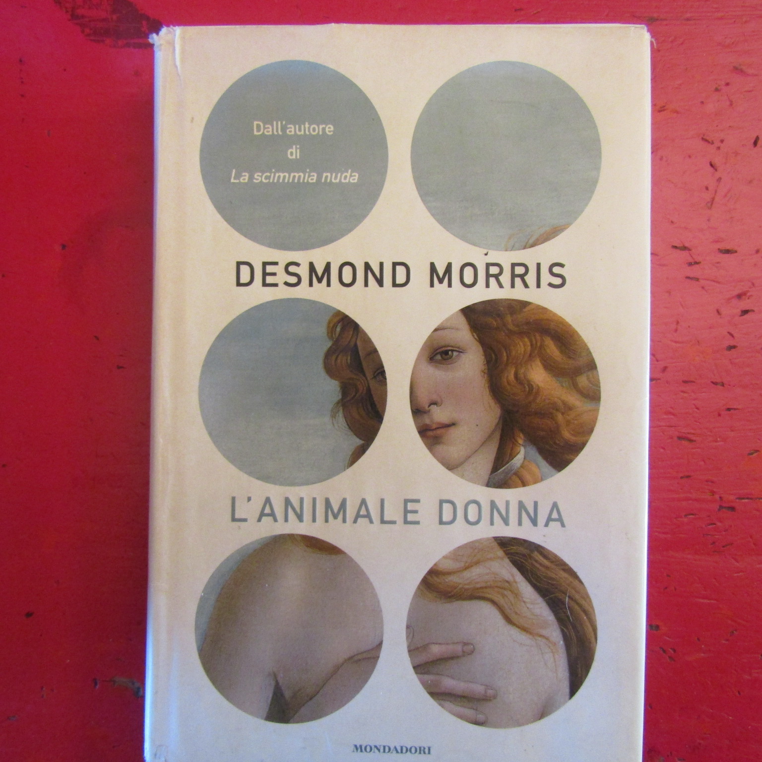 L'animale donna