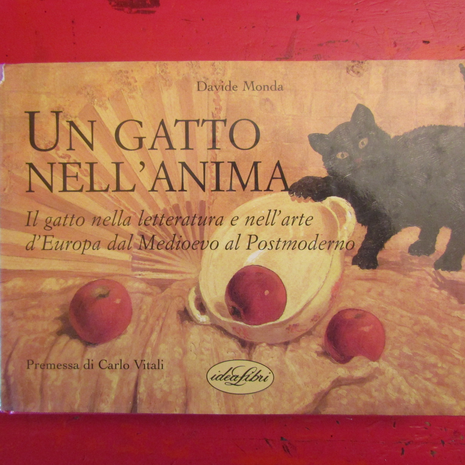 Un Gatto nell'Anima