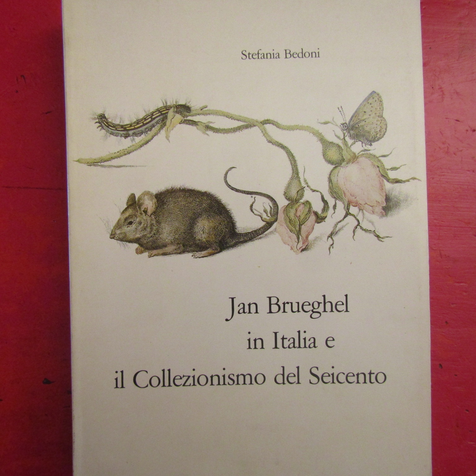 Jan Brueghel in Italia